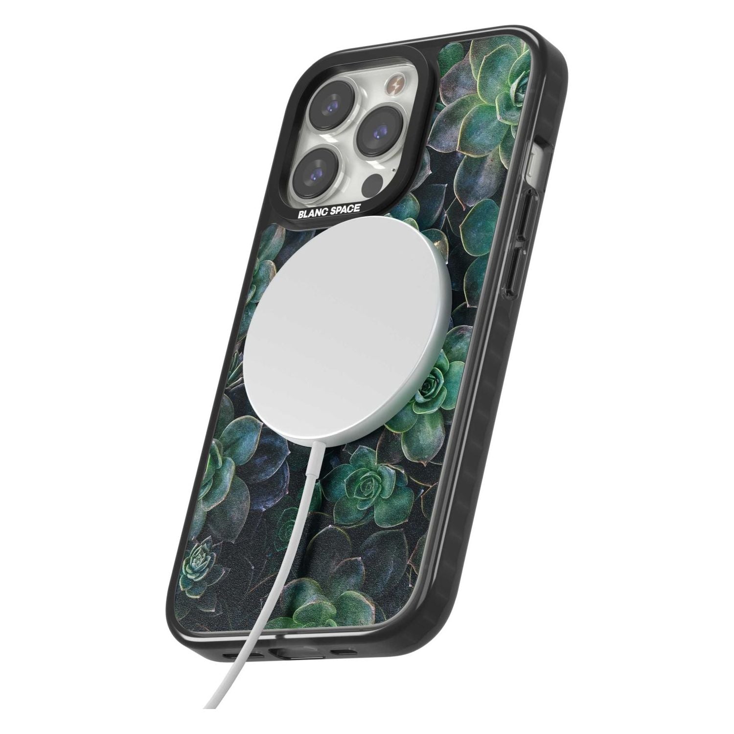 Succulent Bloom Botanical