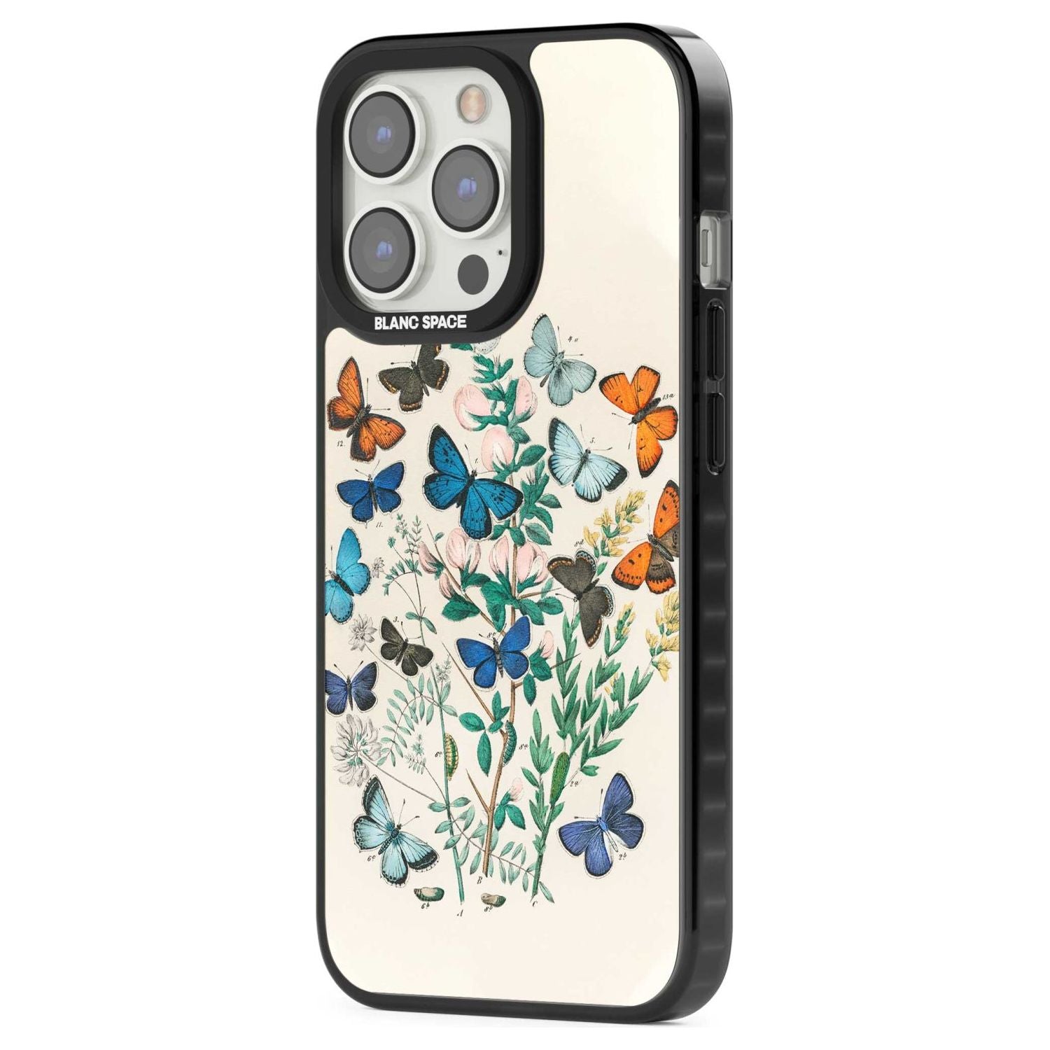 European Butterflies Phone Case iPhone 15 Pro Max / Black Impact Case,iPhone 15 Plus / Black Impact Case,iPhone 15 Pro / Black Impact Case,iPhone 15 / Black Impact Case,iPhone 15 Pro Max / Impact Case,iPhone 15 Plus / Impact Case,iPhone 15 Pro / Impact Case,iPhone 15 / Impact Case,iPhone 15 Pro Max / Magsafe Black Impact Case,iPhone 15 Plus / Magsafe Black Impact Case,iPhone 15 Pro / Magsafe Black Impact Case,iPhone 15 / Magsafe Black Impact Case,iPhone 14 Pro Max / Black Impact Case,iPhone 14 Plus / Black
