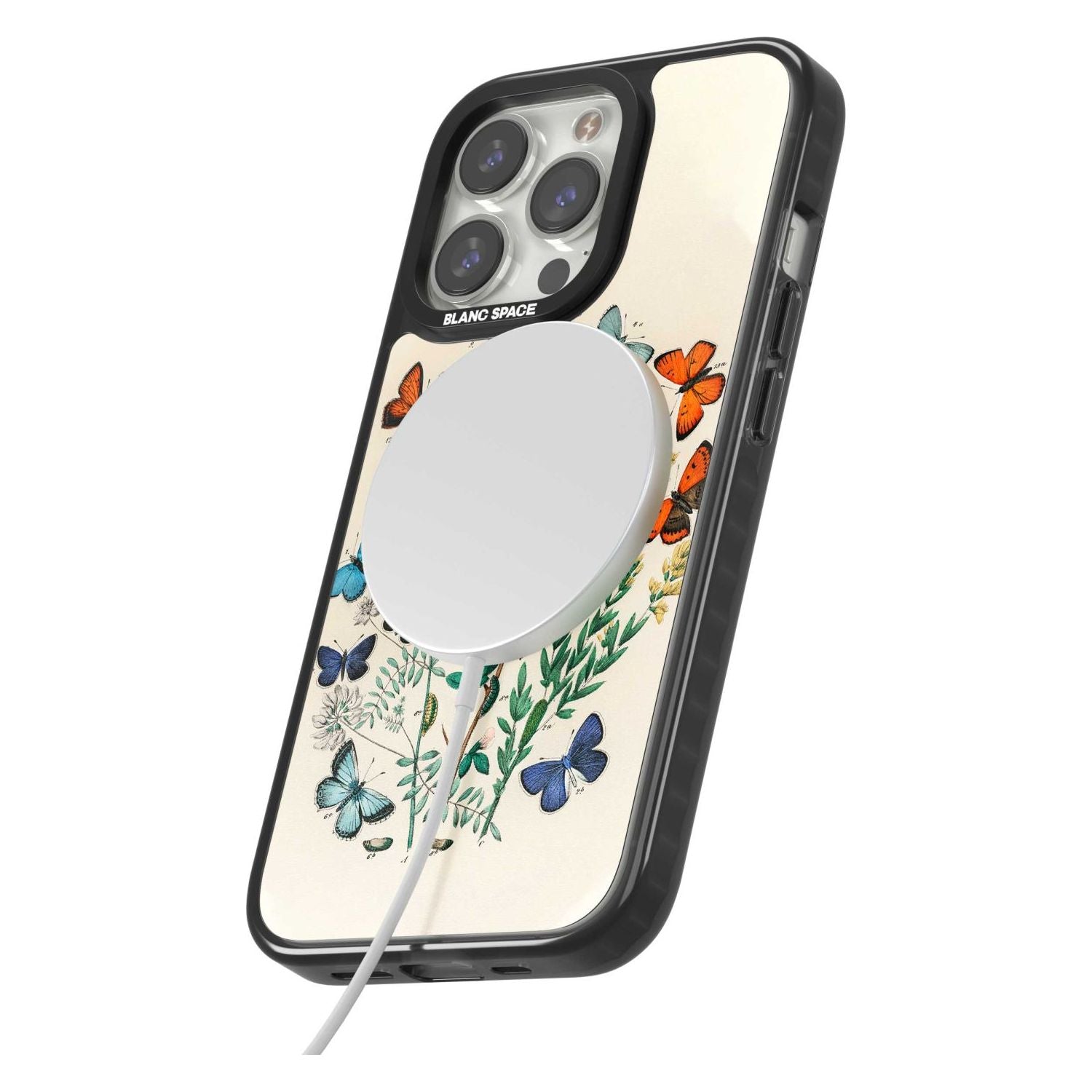 European Butterflies Phone Case iPhone 15 Pro Max / Black Impact Case,iPhone 15 Plus / Black Impact Case,iPhone 15 Pro / Black Impact Case,iPhone 15 / Black Impact Case,iPhone 15 Pro Max / Impact Case,iPhone 15 Plus / Impact Case,iPhone 15 Pro / Impact Case,iPhone 15 / Impact Case,iPhone 15 Pro Max / Magsafe Black Impact Case,iPhone 15 Plus / Magsafe Black Impact Case,iPhone 15 Pro / Magsafe Black Impact Case,iPhone 15 / Magsafe Black Impact Case,iPhone 14 Pro Max / Black Impact Case,iPhone 14 Plus / Black