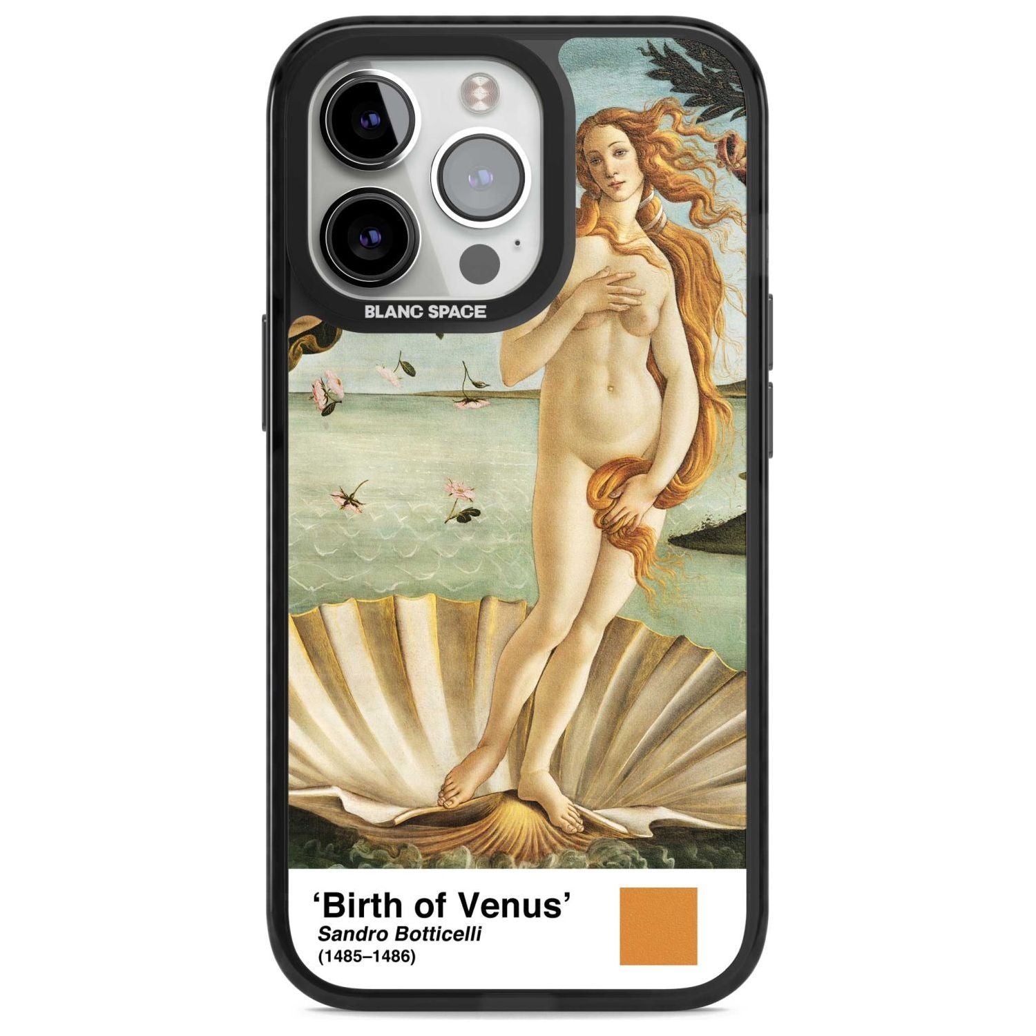 The Birth Of Venus