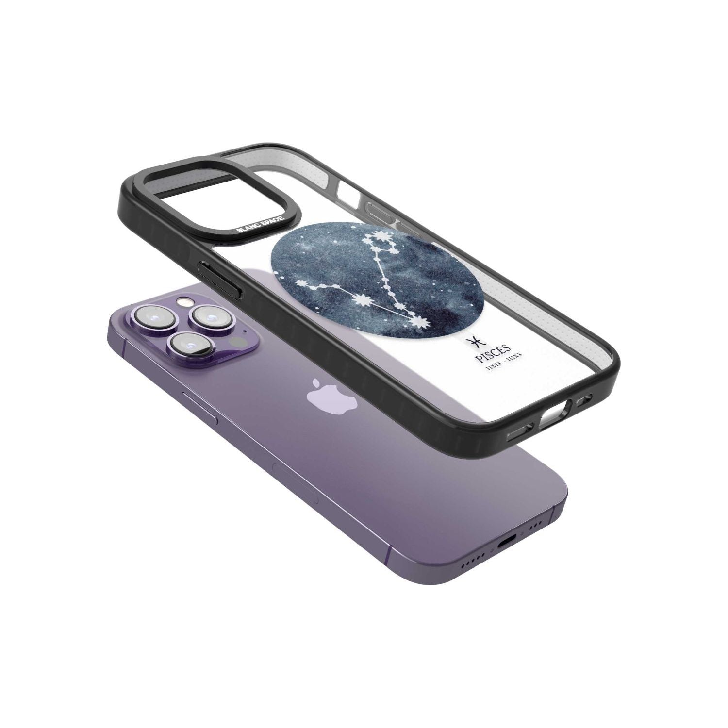 Pisces Zodiac Constellation