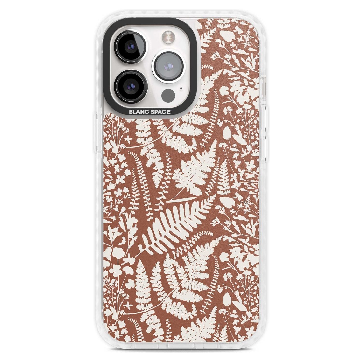 Wildflowers And Ferns On Terracotta