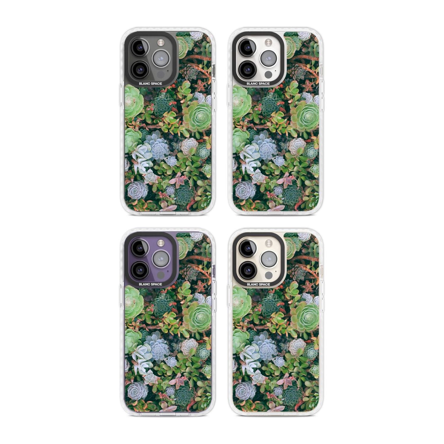 Colourful Succulents Phone Case iPhone 15 Pro Max / Black Impact Case,iPhone 15 Plus / Black Impact Case,iPhone 15 Pro / Black Impact Case,iPhone 15 / Black Impact Case,iPhone 15 Pro Max / Impact Case,iPhone 15 Plus / Impact Case,iPhone 15 Pro / Impact Case,iPhone 15 / Impact Case,iPhone 15 Pro Max / Magsafe Black Impact Case,iPhone 15 Plus / Magsafe Black Impact Case,iPhone 15 Pro / Magsafe Black Impact Case,iPhone 15 / Magsafe Black Impact Case,iPhone 14 Pro Max / Black Impact Case,iPhone 14 Plus / Black