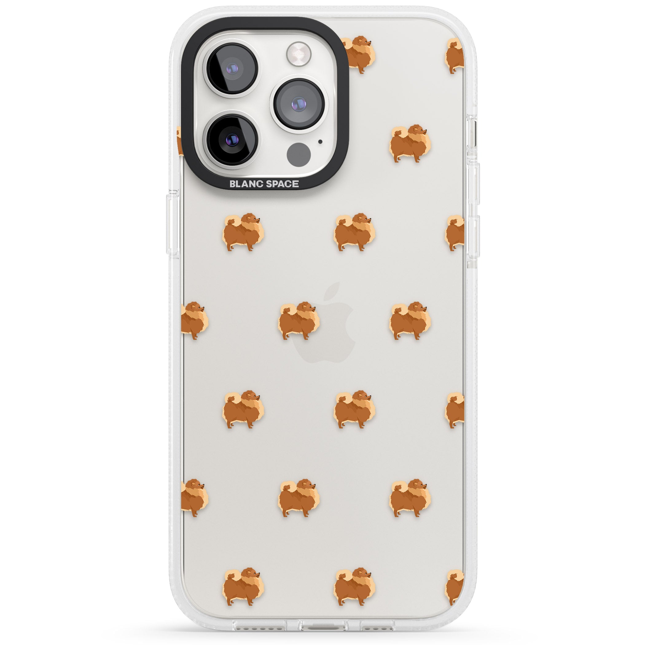 Pomeranian Delight