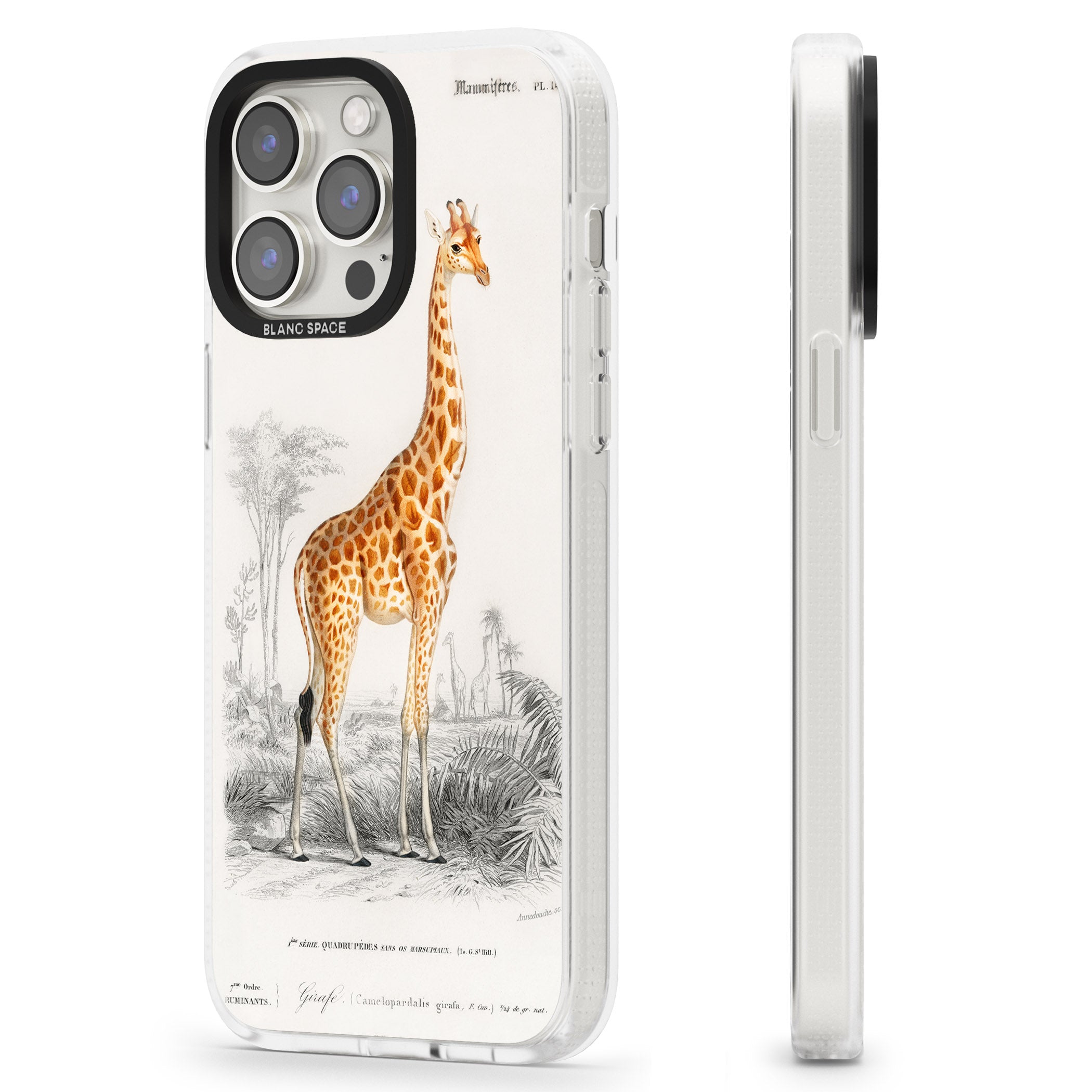 Vintage Giraffe Art iPhone 15 Pro Max / 15 Pro / 14 Pro Max / 14 Pro / 13 Pro Clear Case Impact Air - Blanc Space