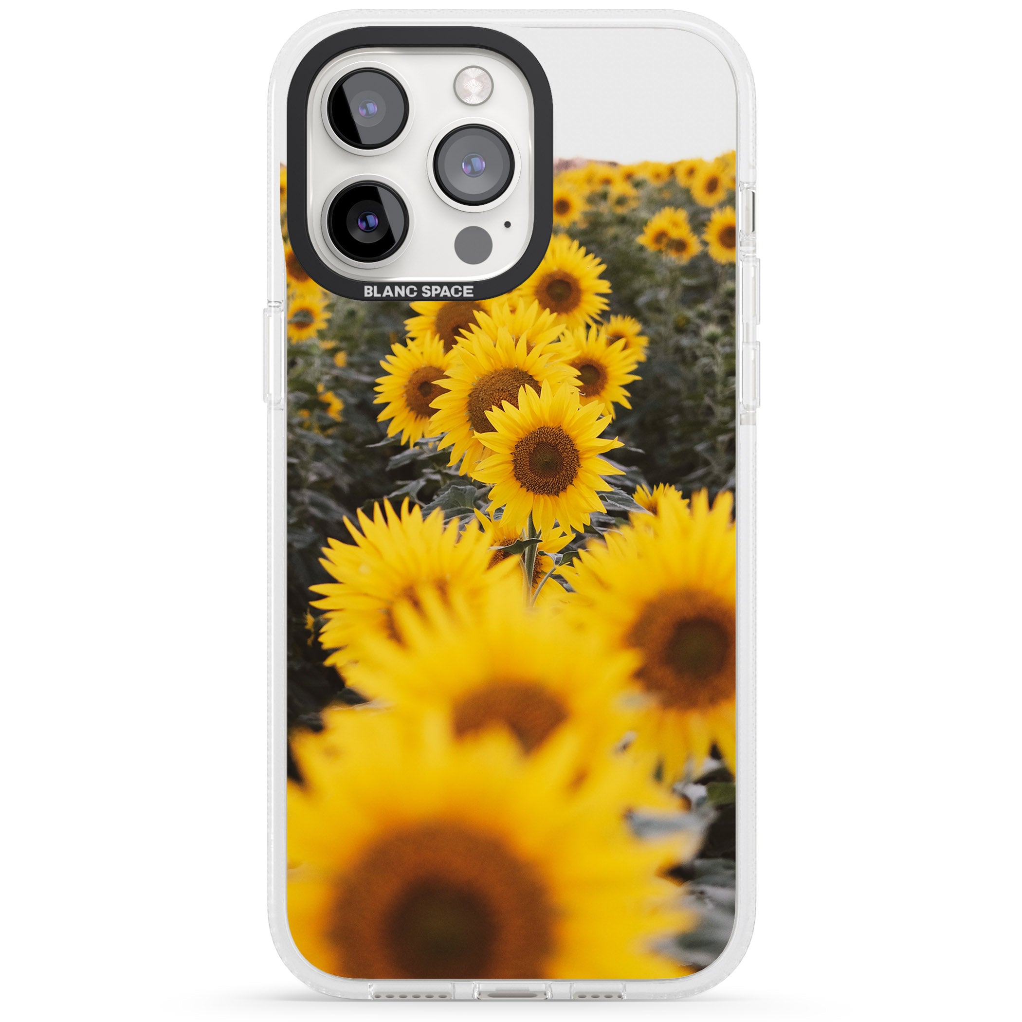 Sunflower Field Photograph iPhone 15 Pro Max / 15 Pro / 14 Pro Max / 14 Pro / 13 Pro Clear Case Impact Air - Blanc Space