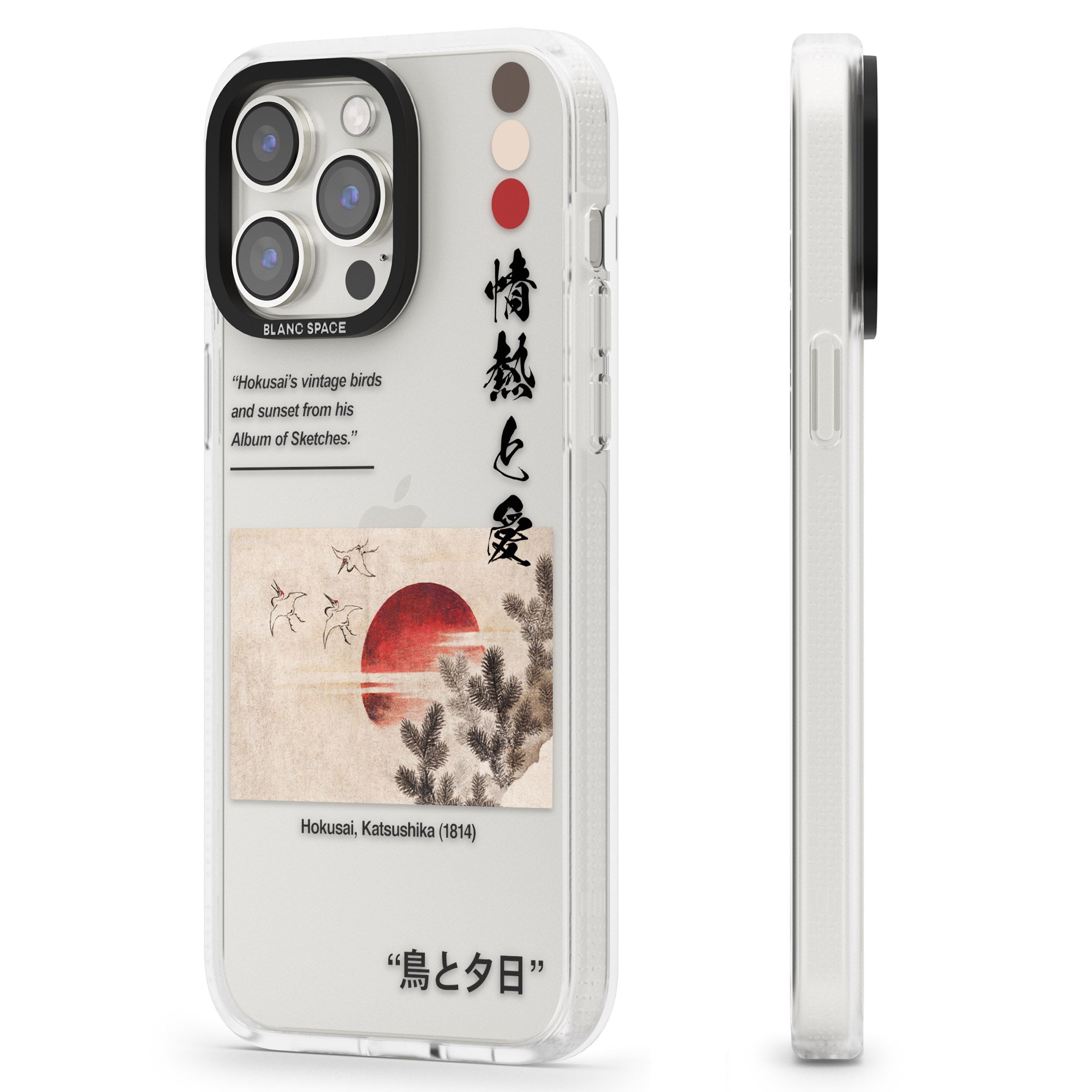 Birds and Sunset iPhone 15 Pro Max / 15 Pro / 14 Pro Max / 14 Pro / 13 Pro Clear Case Impact Air - Blanc Space