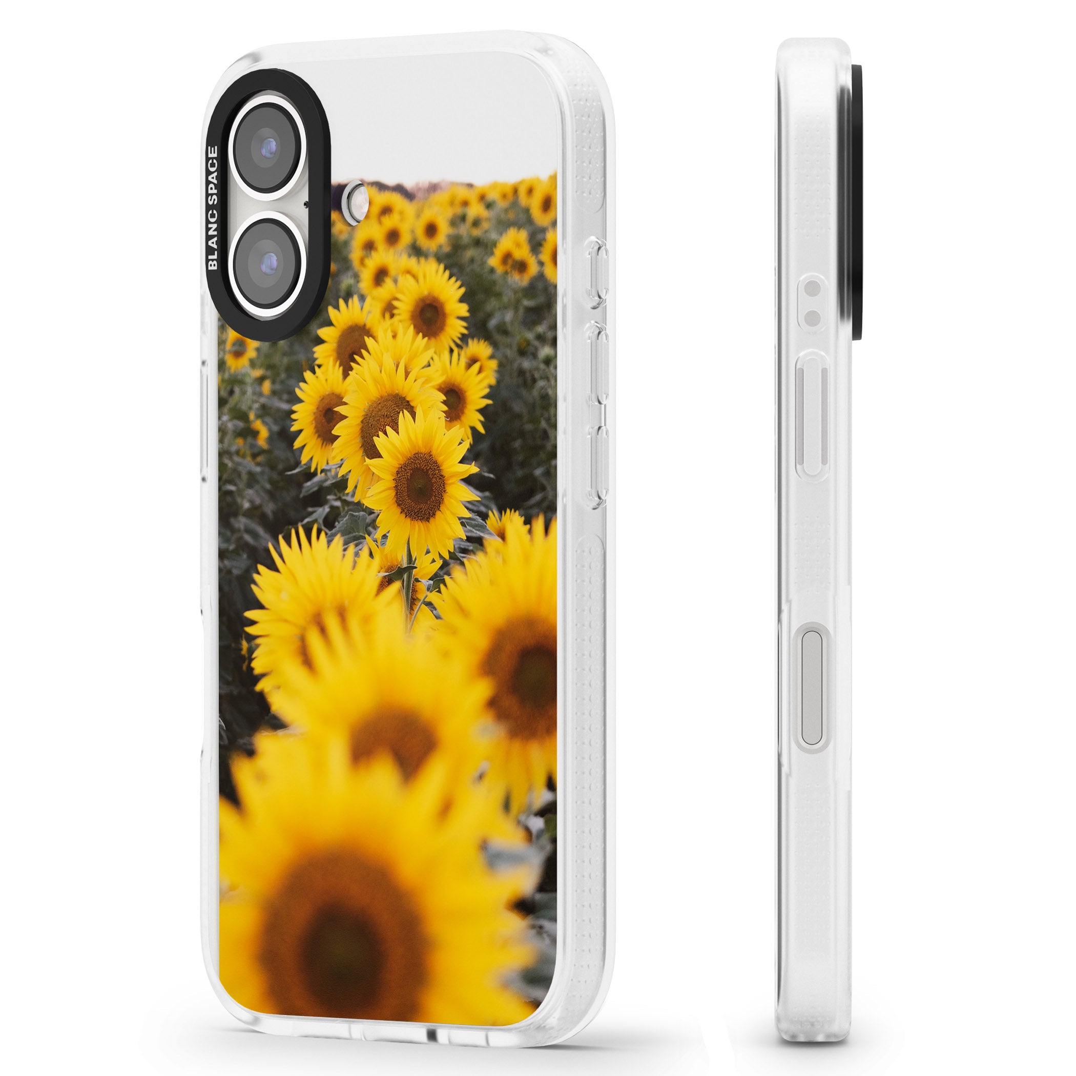 Sunflower Field Photograph iPhone 16 / 16 Plus Clear Case Impact Air - Blanc Space