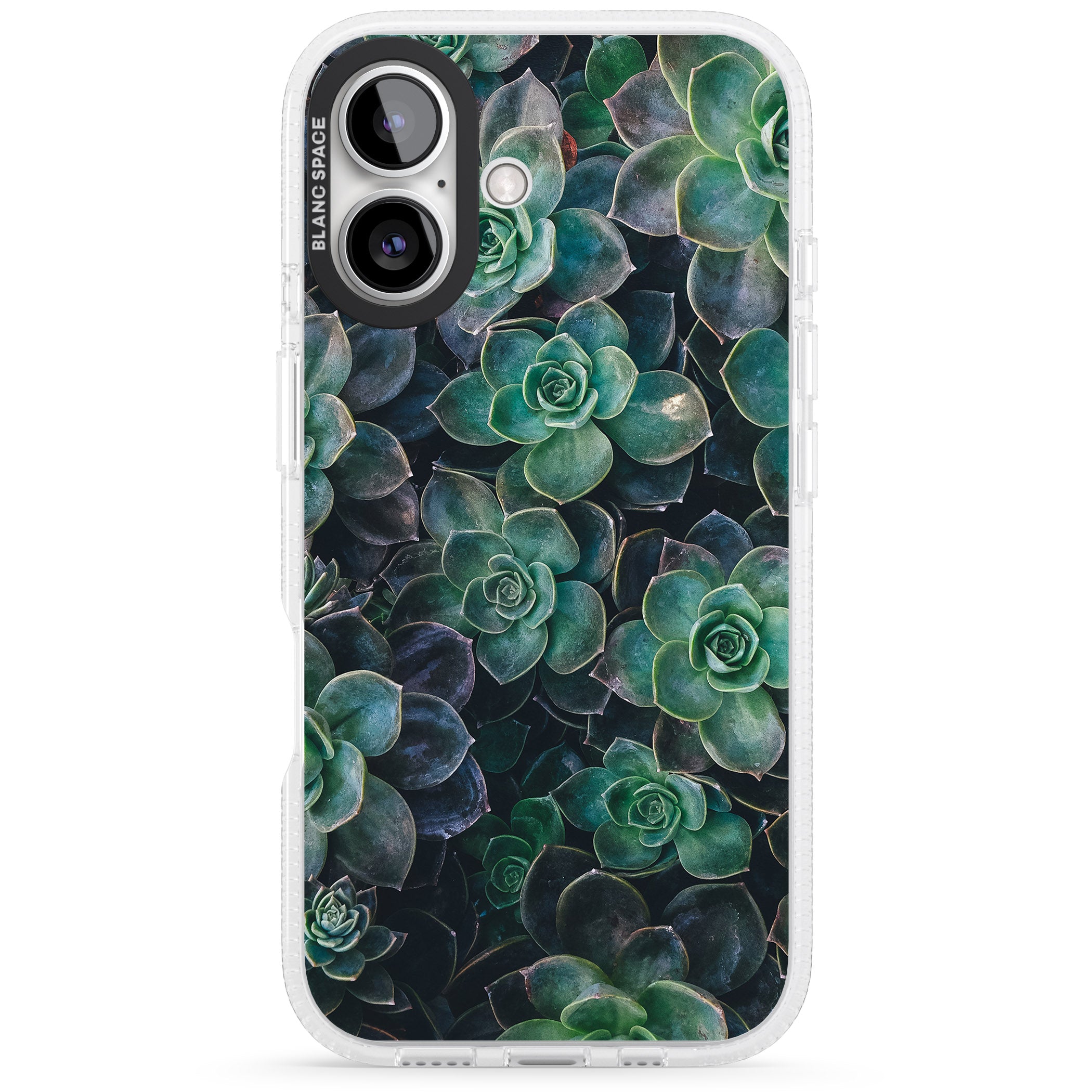 Succulents - Real Botanical Photographs iPhone 16 / 16 Plus Clear Case Impact Air - Blanc Space