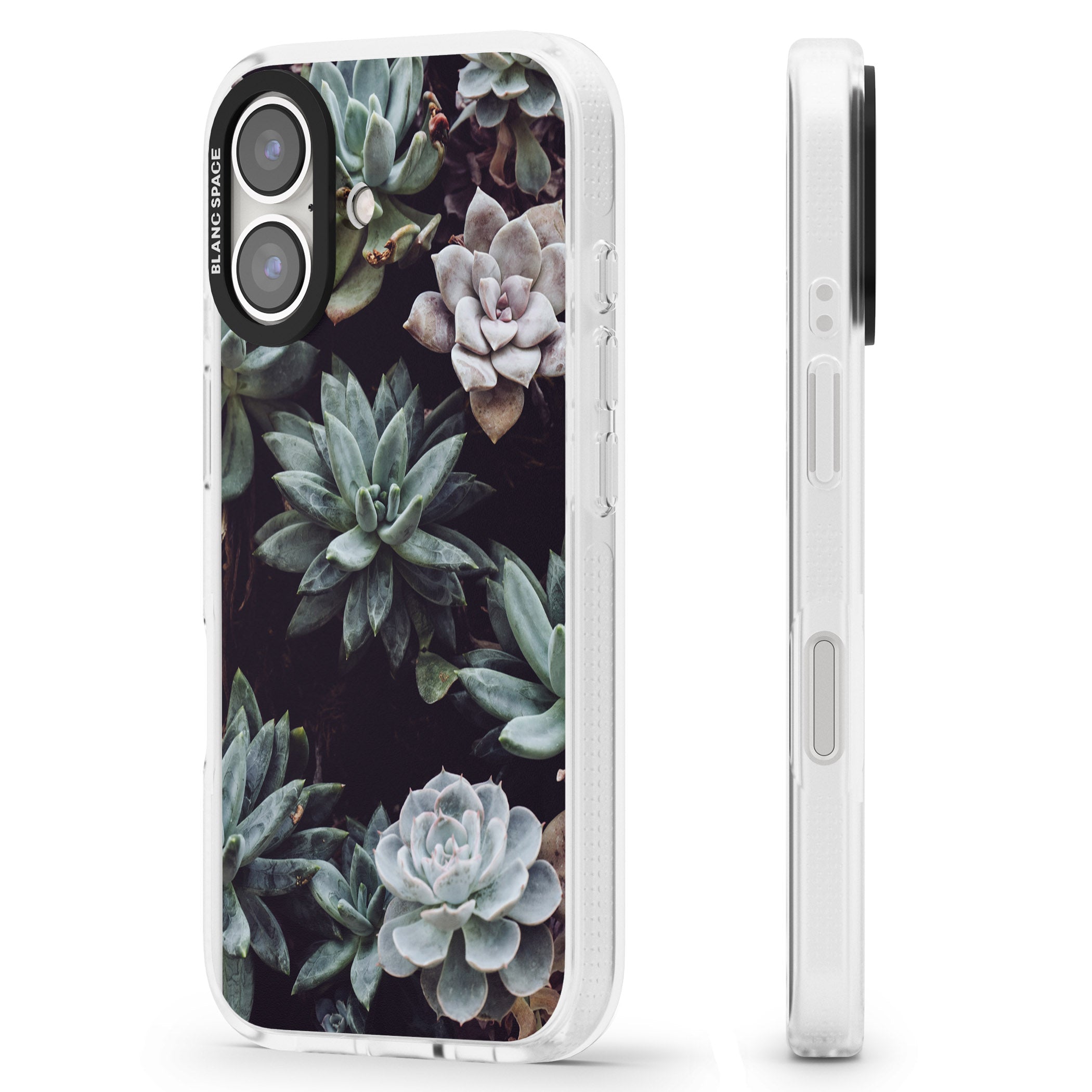Mixed Succulents - Real Botanical Photographs iPhone 16 / 16 Plus Clear Case Impact Air - Blanc Space