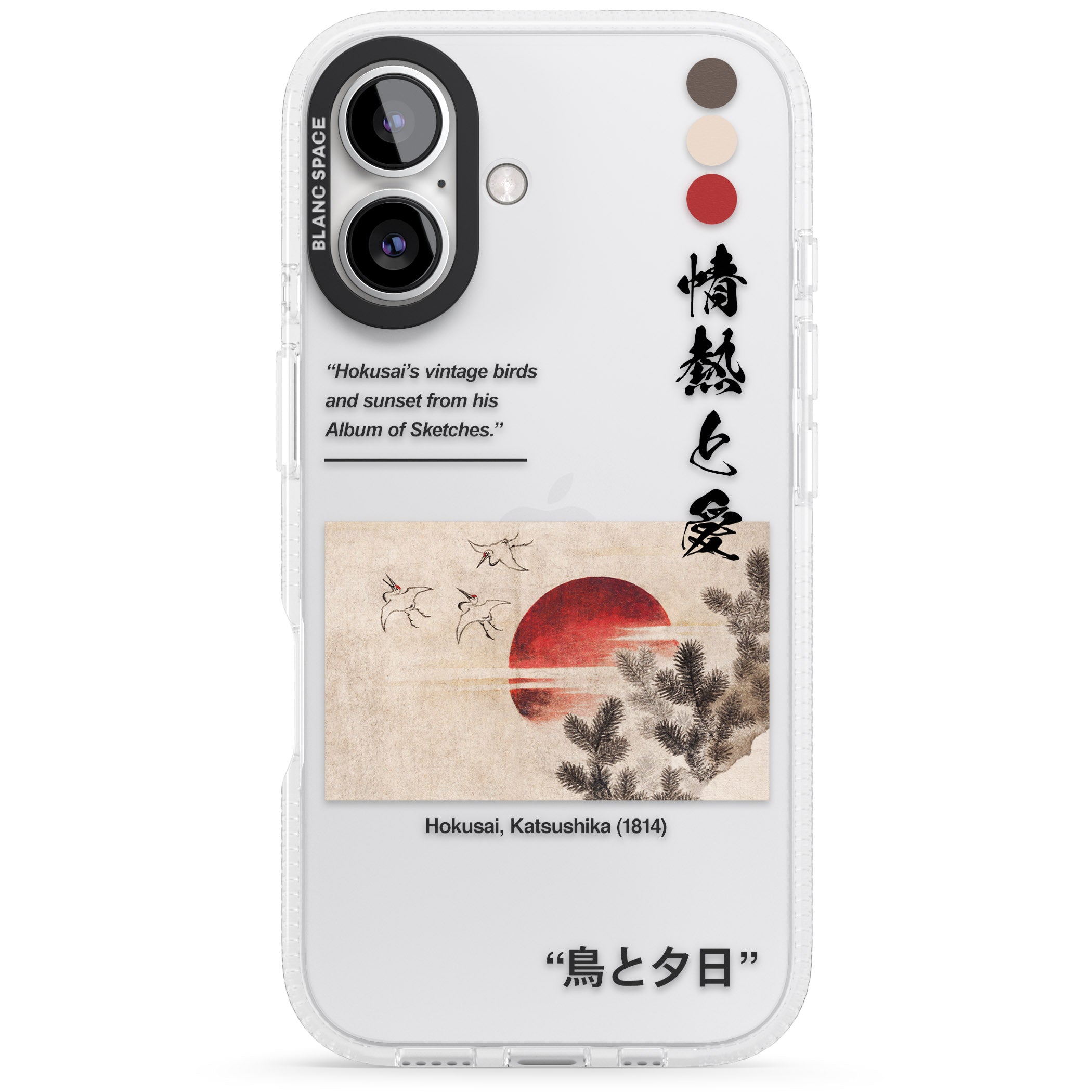 Birds and Sunset iPhone 16 / 16 Plus Clear Case Impact Air - Blanc Space