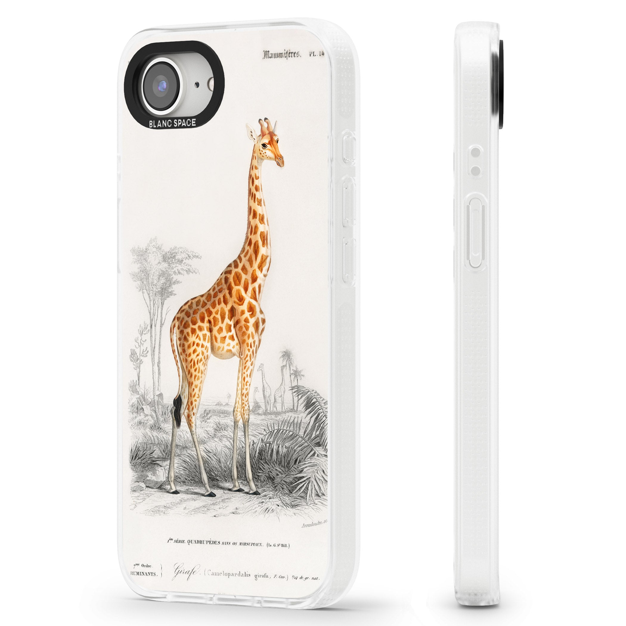 Vintage Giraffe Art iPhone 16e Clear Case Impact Air - Blanc Space