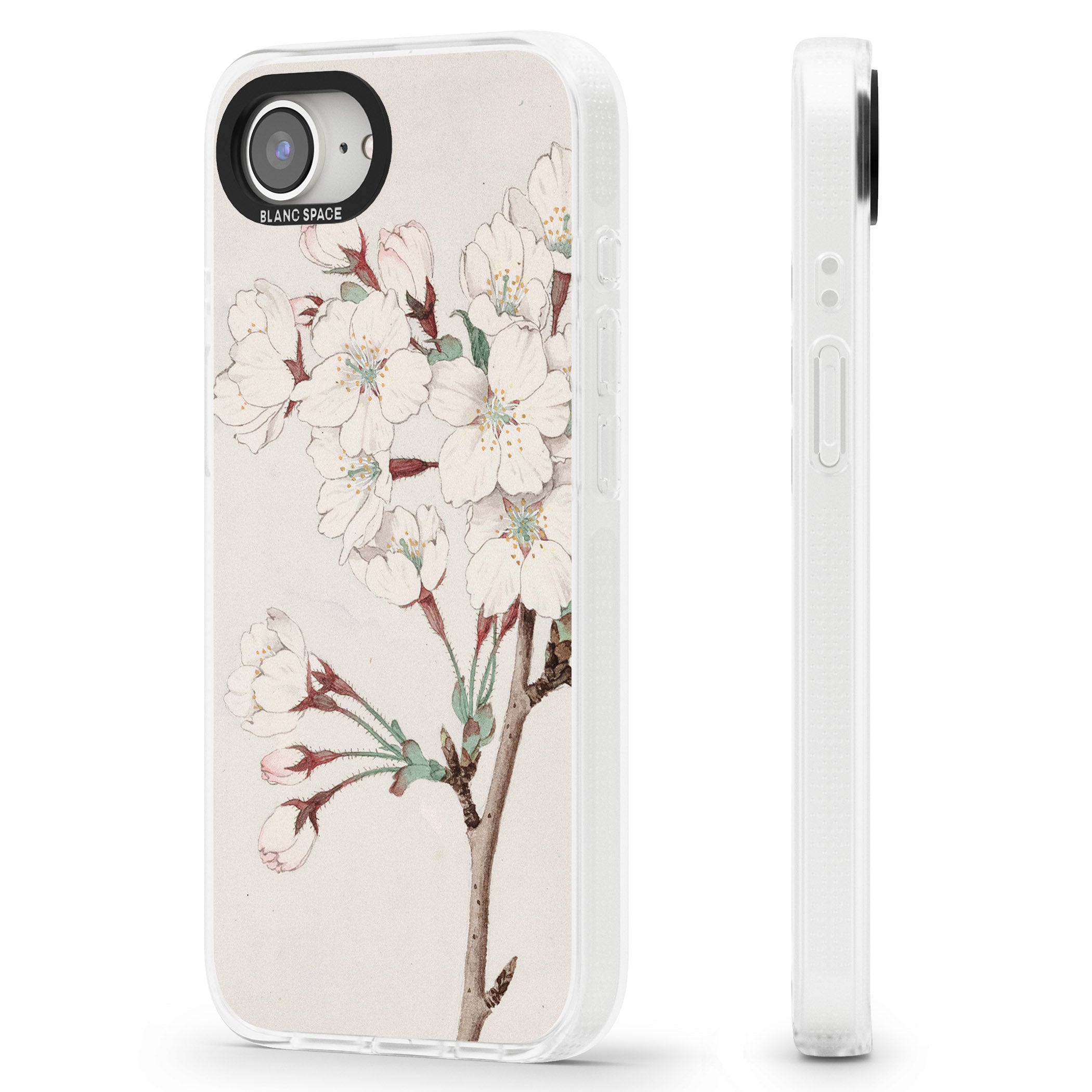 Vintage Japanese Illustrations Cherry Blossoms iPhone 16e Clear Case Impact Air - Blanc Space
