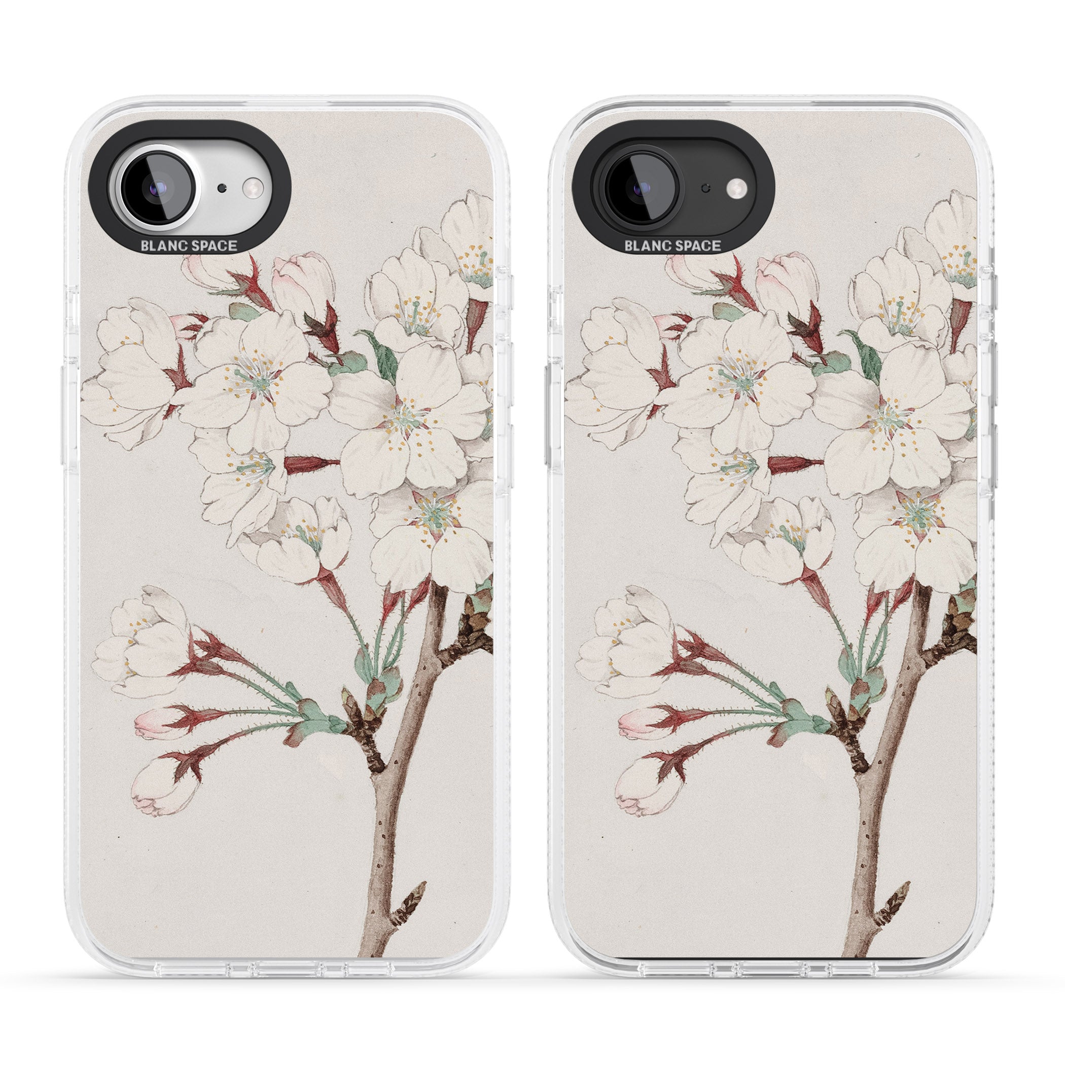 Vintage Japanese Illustrations Cherry Blossoms iPhone 16e Clear Case Impact Air - Blanc Space