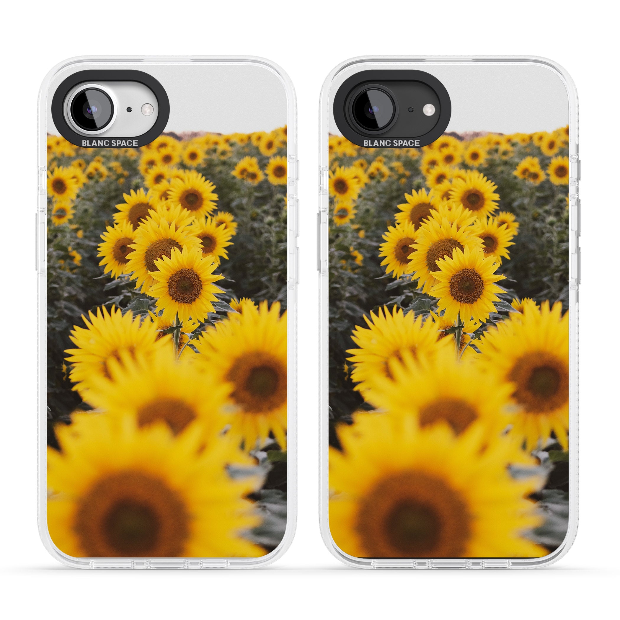 Sunflower Field Photograph iPhone 16e Clear Case Impact Air - Blanc Space