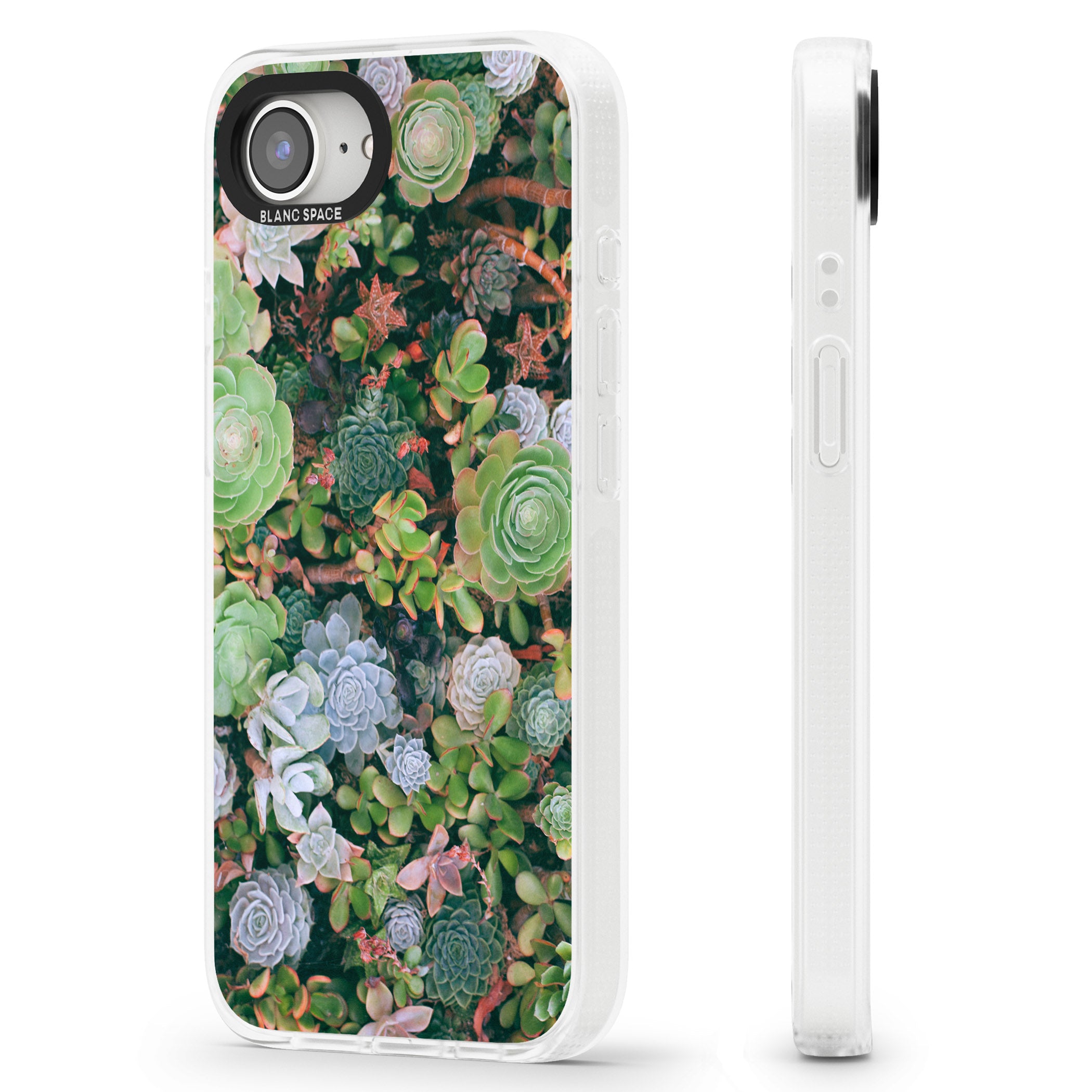 Colourful Succulents Photograph iPhone 16e Clear Case Impact Air - Blanc Space