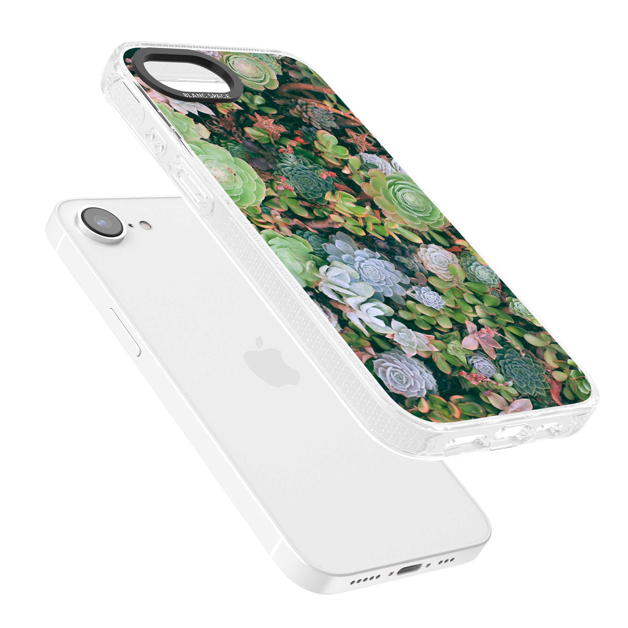 Colourful Succulents Photograph iPhone 16e Clear Case Impact Air - Blanc Space