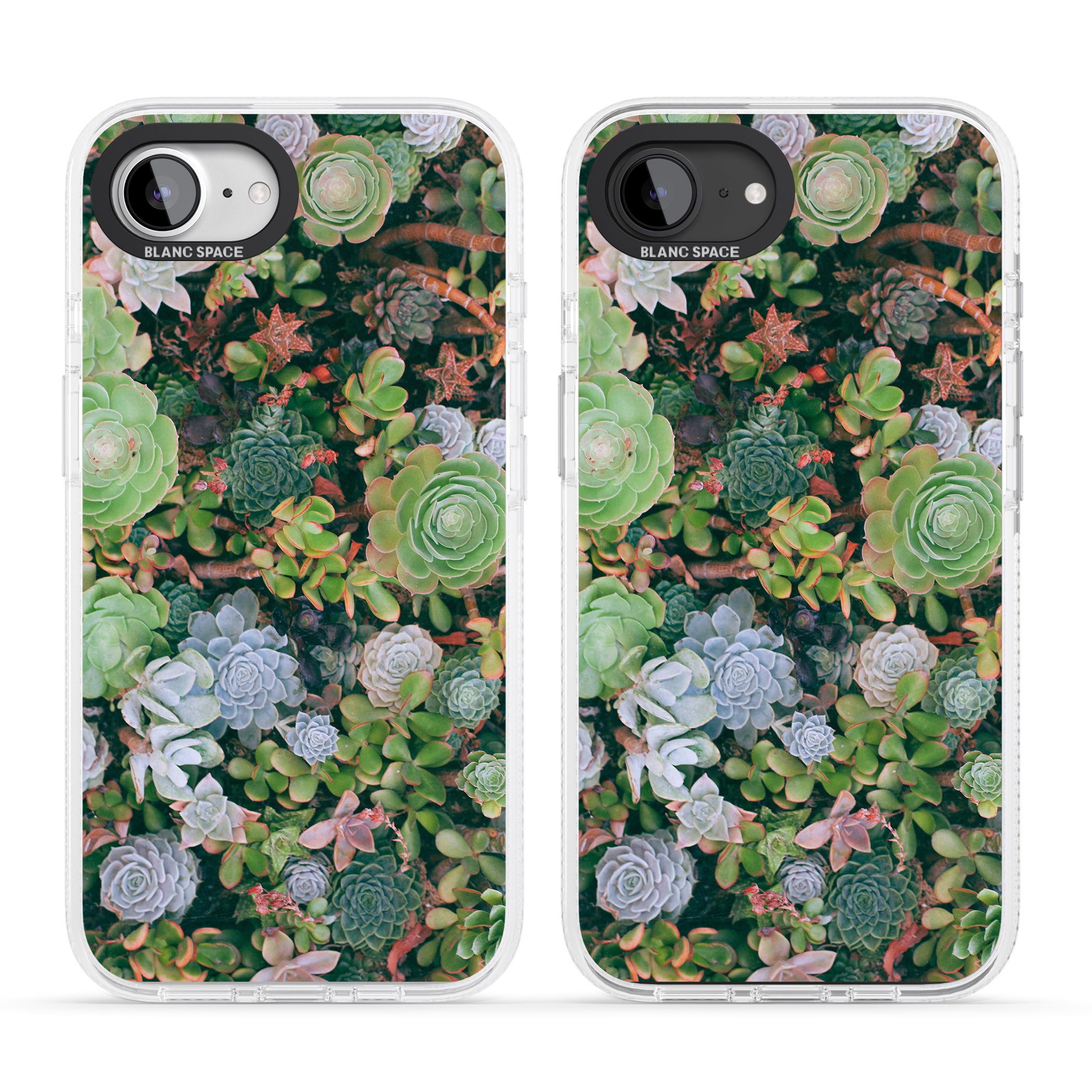 Colourful Succulents Photograph iPhone 16e Clear Case Impact Air - Blanc Space