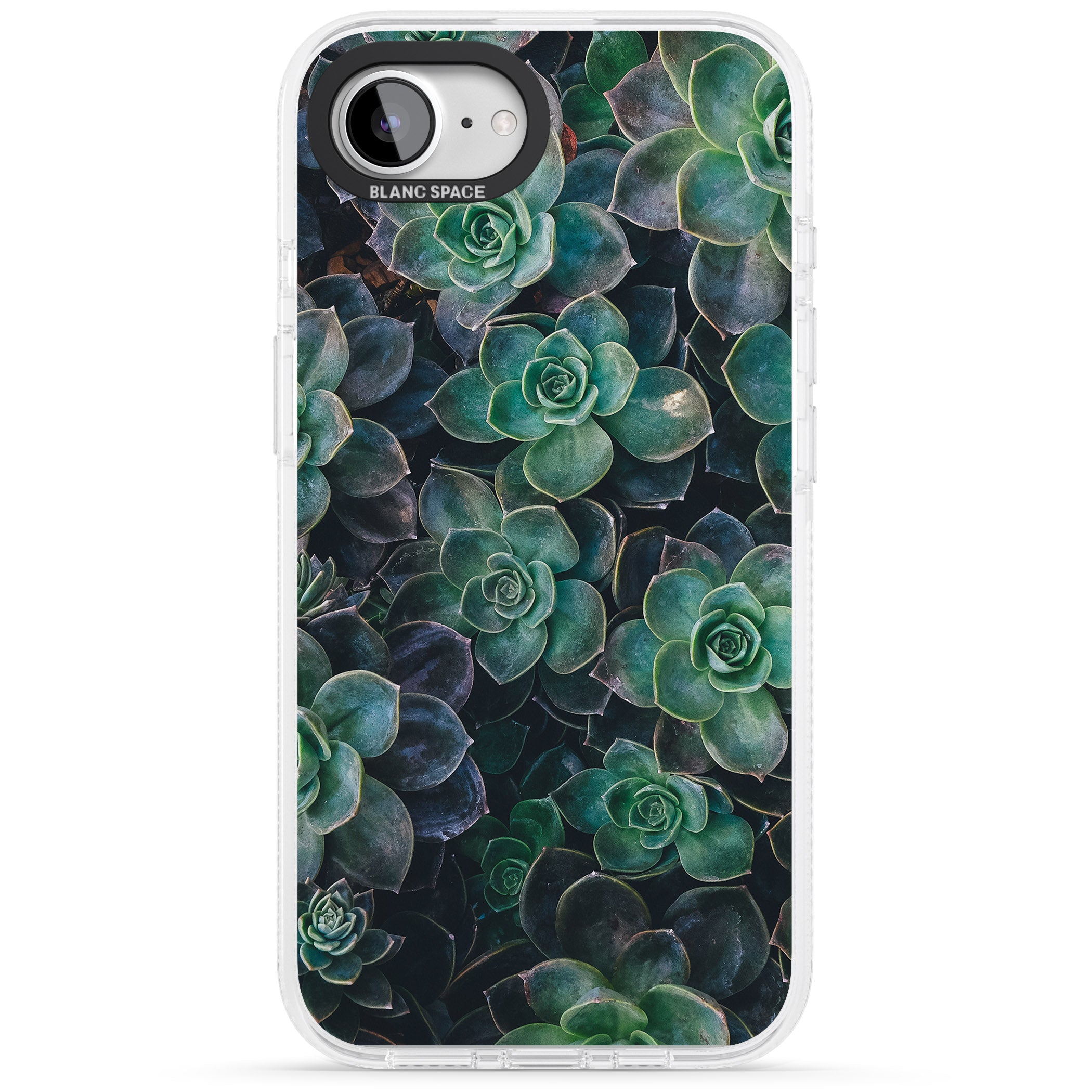 Succulents - Real Botanical Photographs iPhone 16e Clear Case Impact Air - Blanc Space