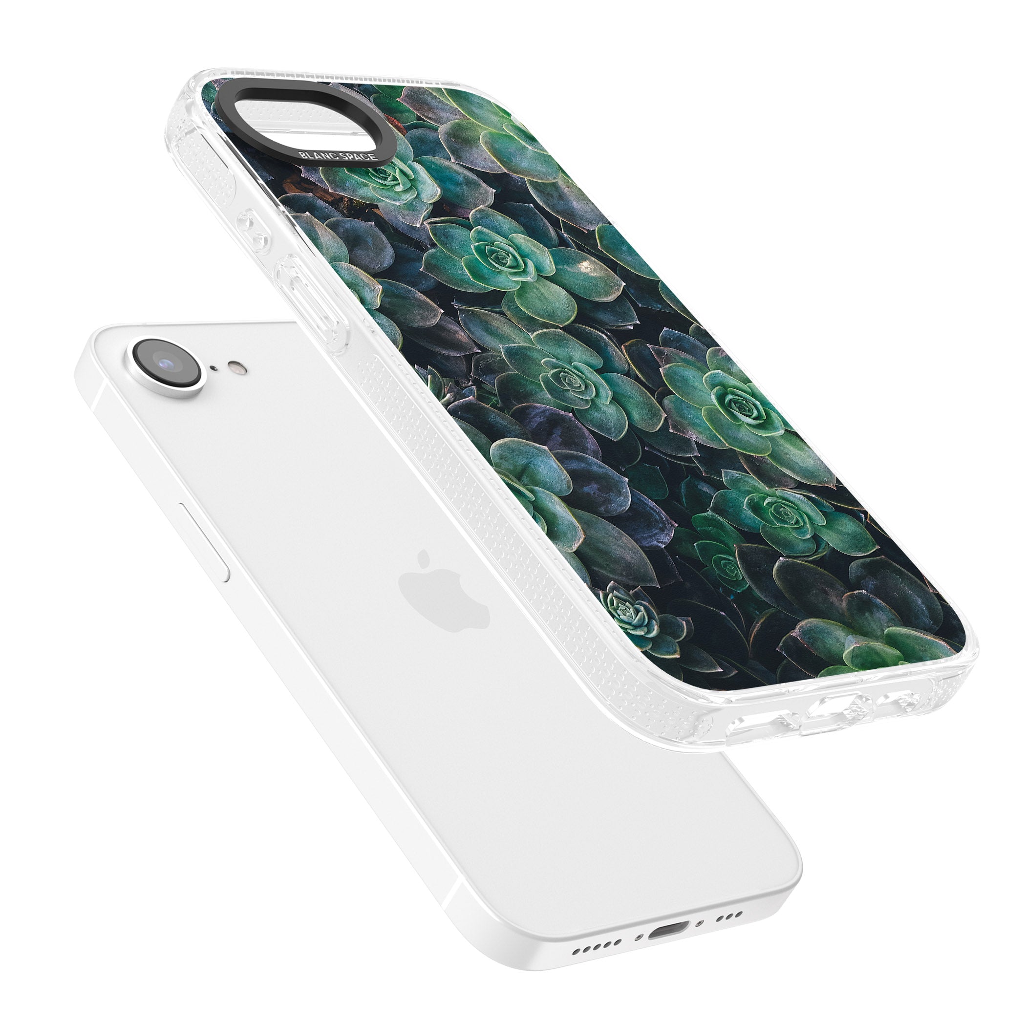 Succulents - Real Botanical Photographs iPhone 16e Clear Case Impact Air - Blanc Space
