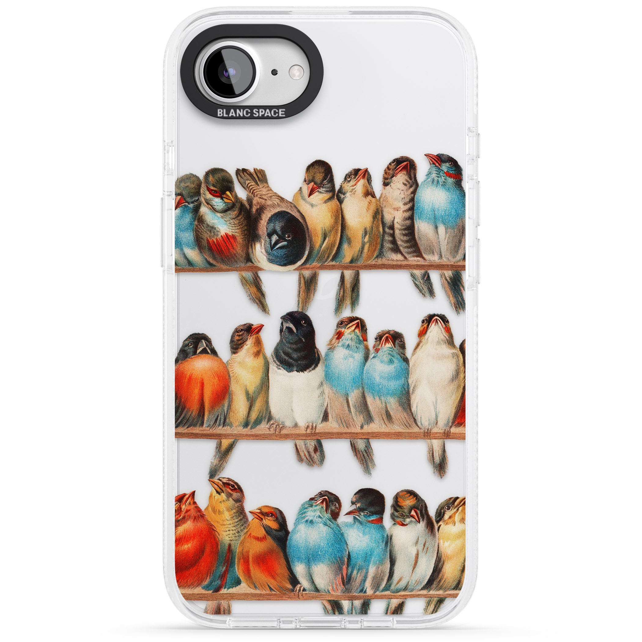 A Perch of Birds iPhone 16e Clear Case Impact Air - Blanc Space