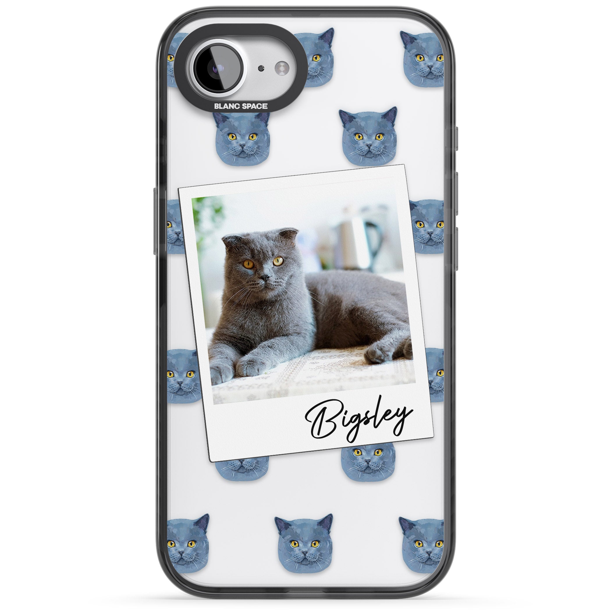 Personalised English Blue Cat Photo