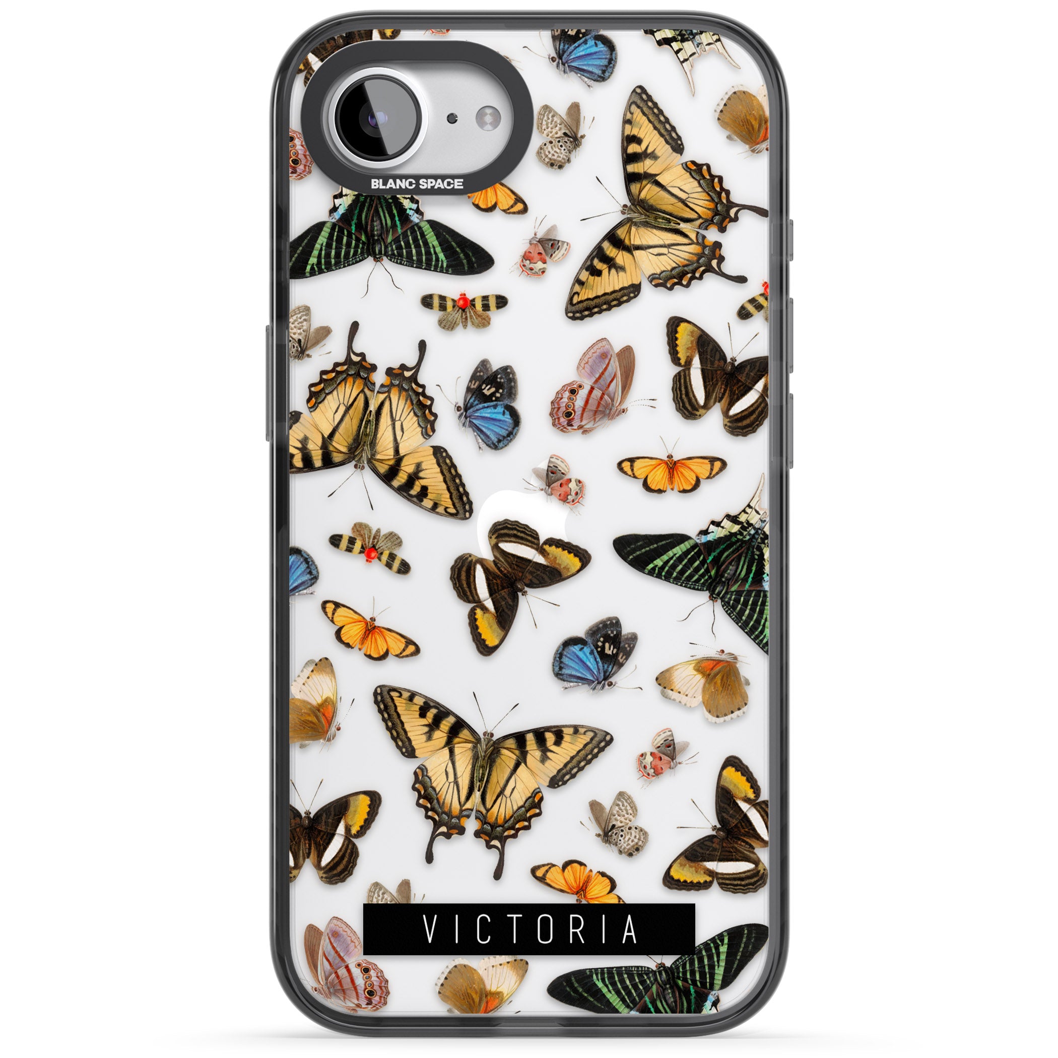 Personalised Butterfly Archive