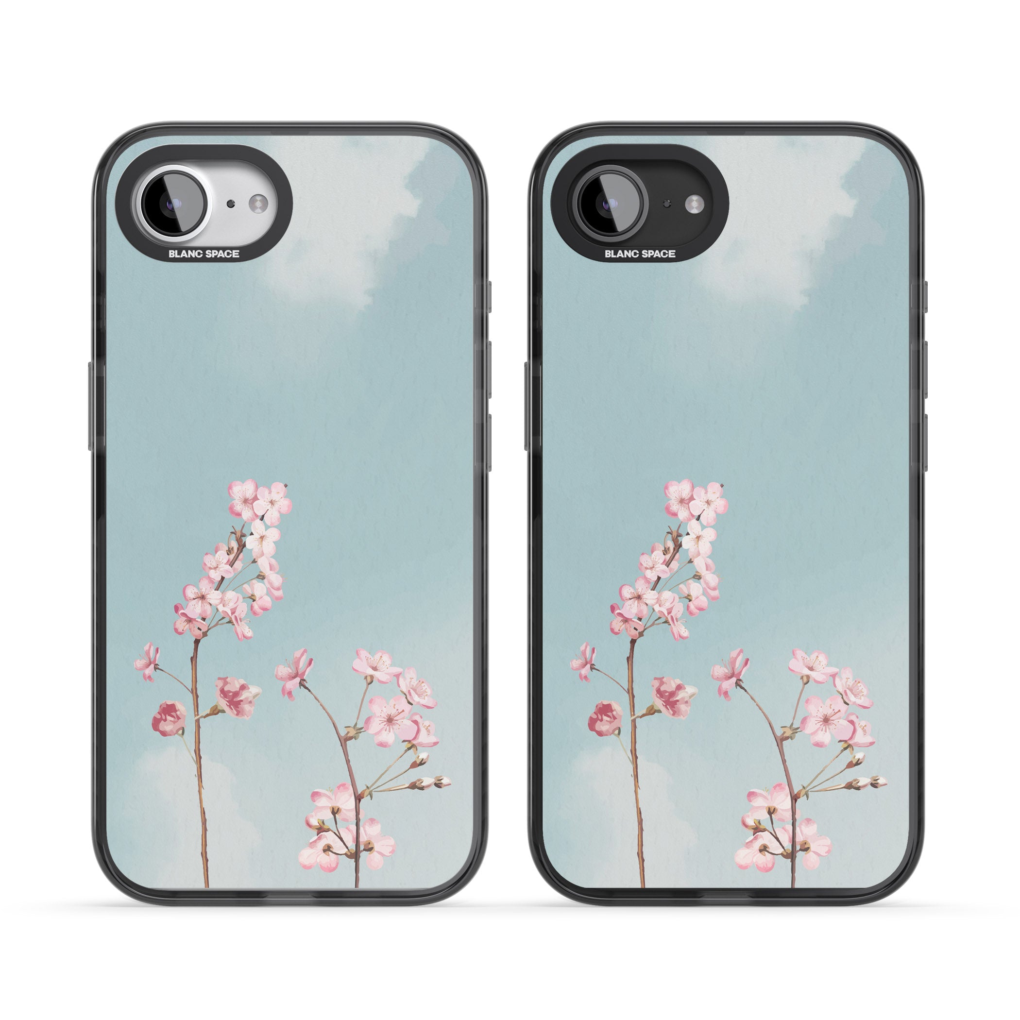 Blossom Flower Sky