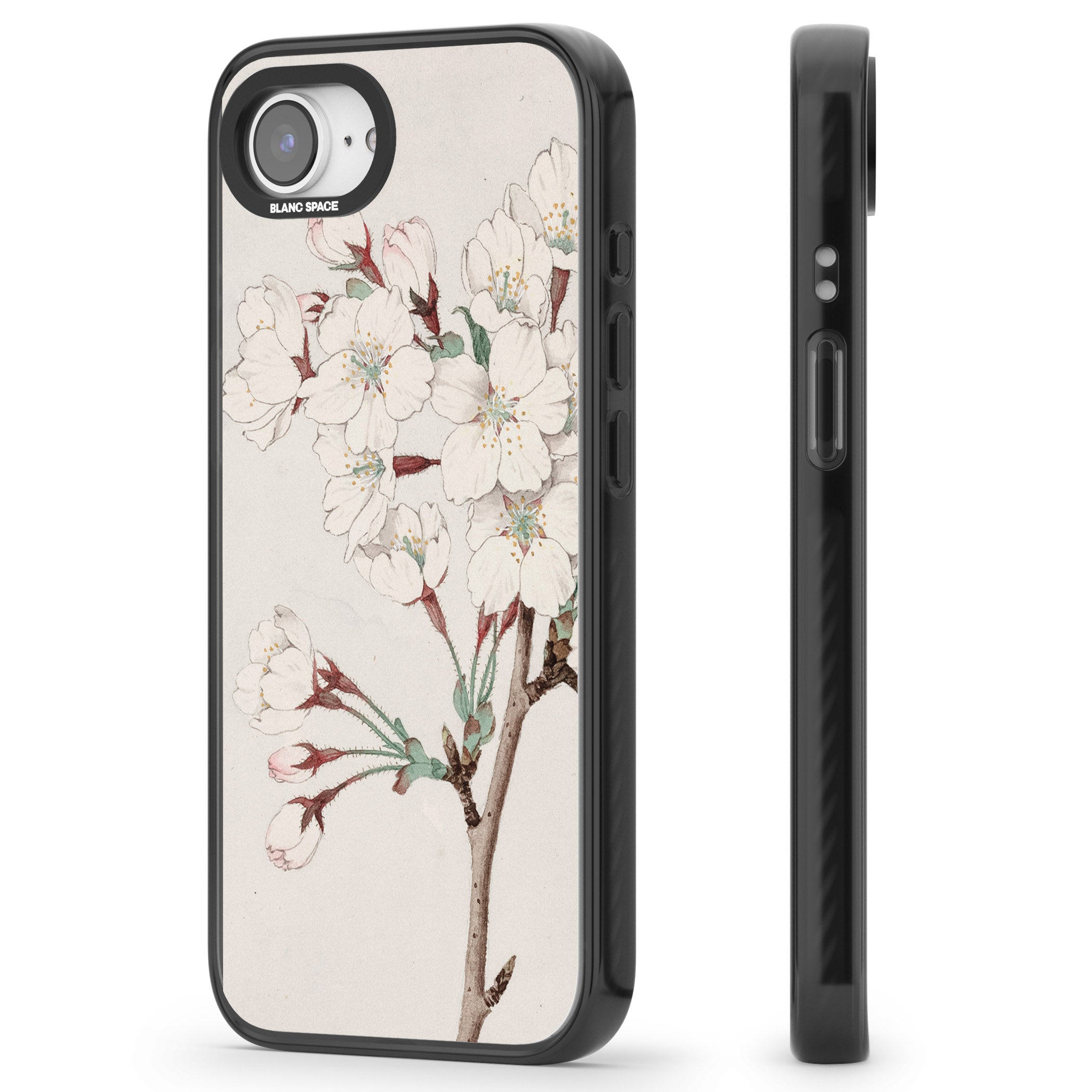 Vintage Japanese Illustrations Cherry Blossoms