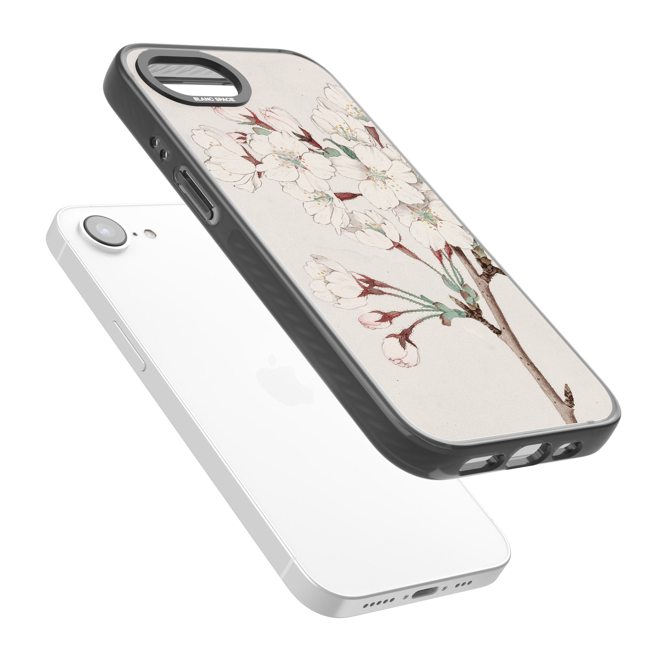 Vintage Japanese Illustrations Cherry Blossoms