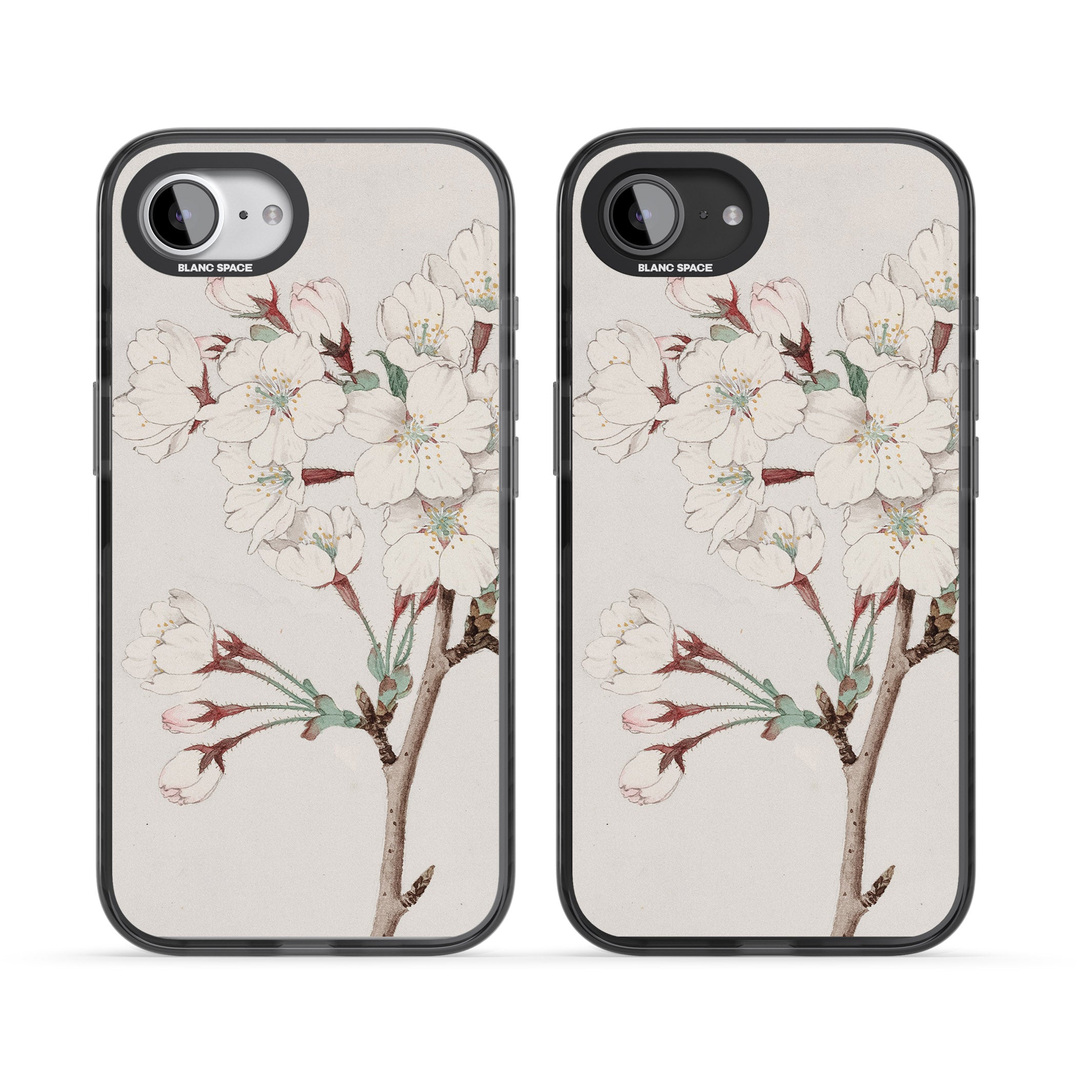 Vintage Japanese Illustrations Cherry Blossoms