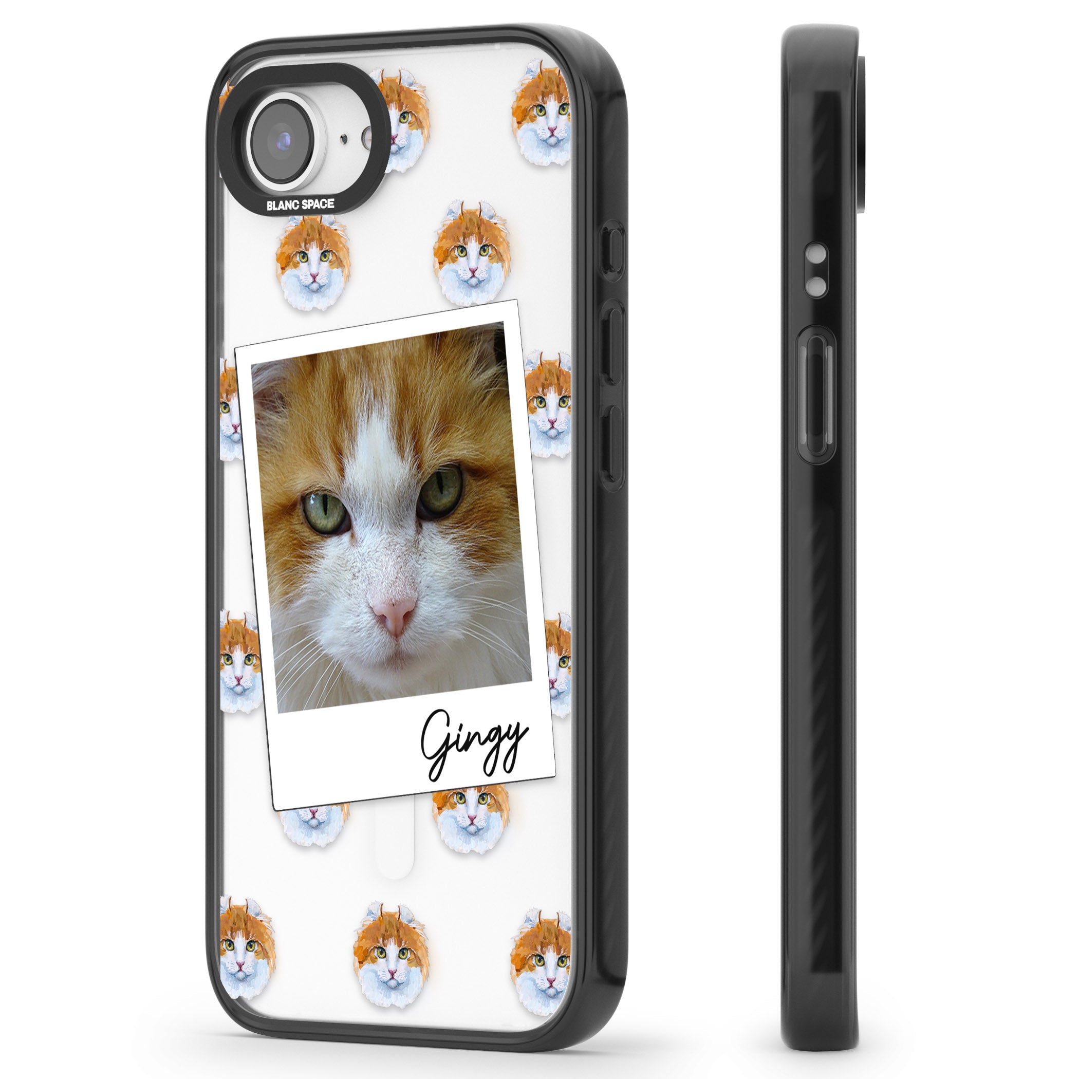 Personalised American Curl Photo