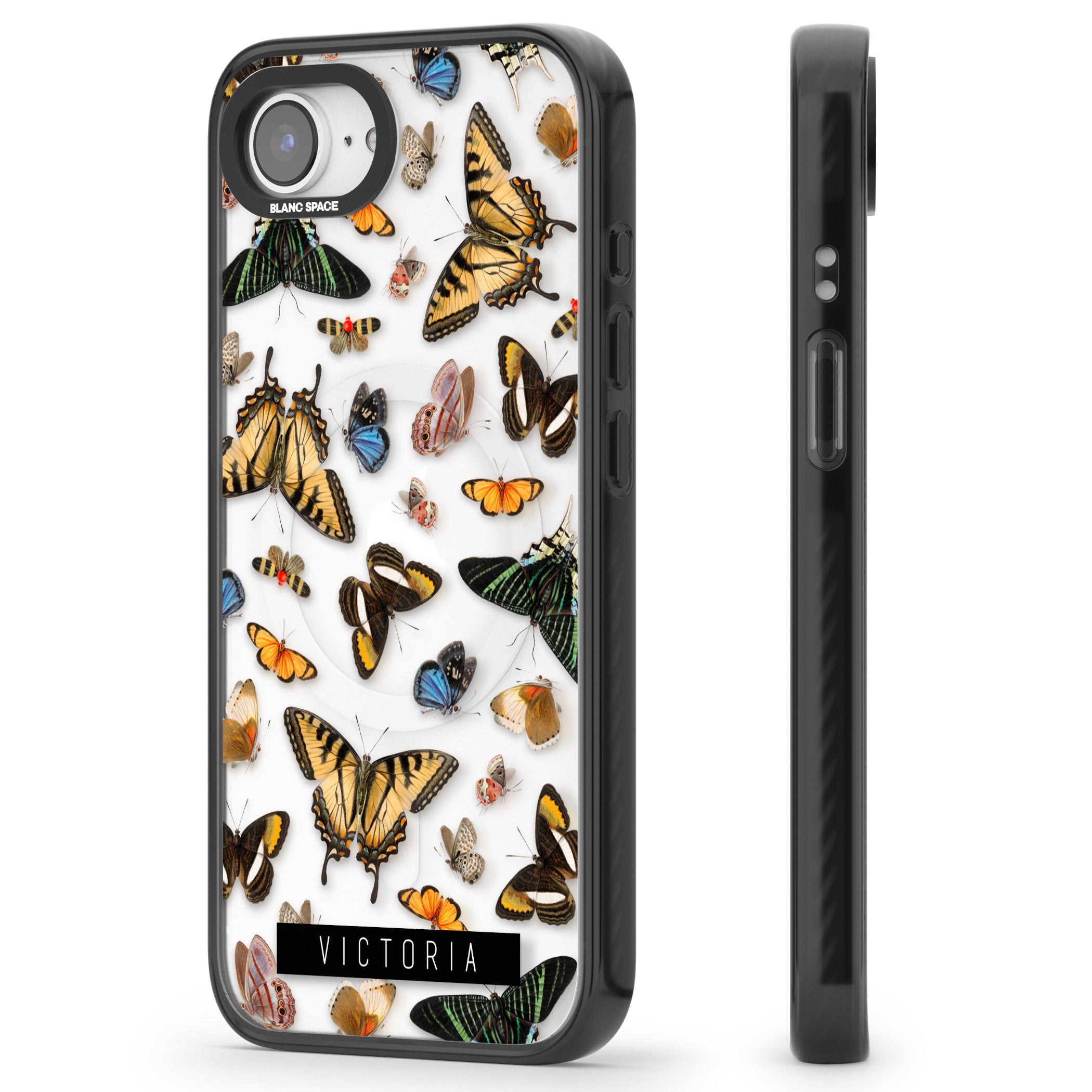 Personalised Butterfly Archive