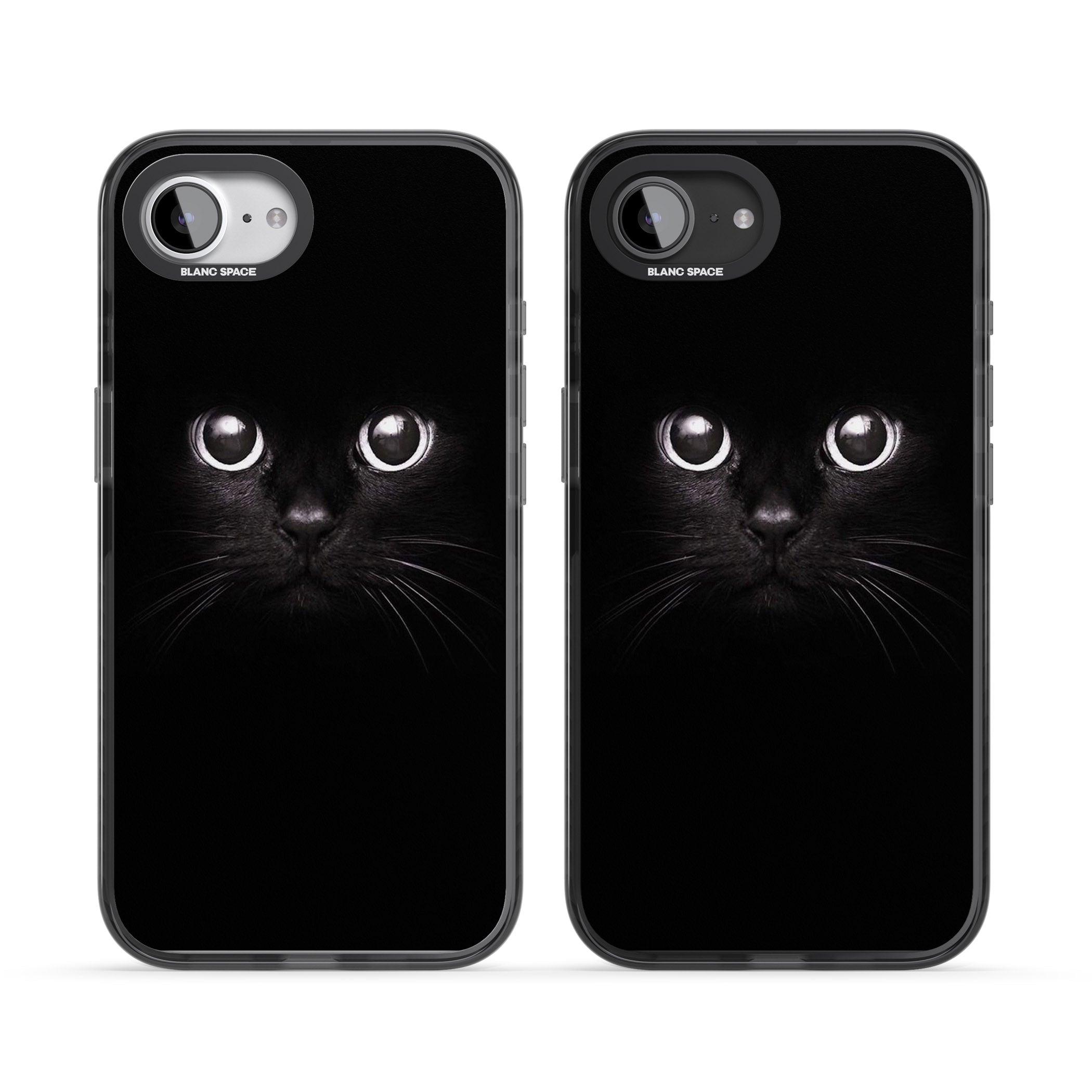 Black Cat