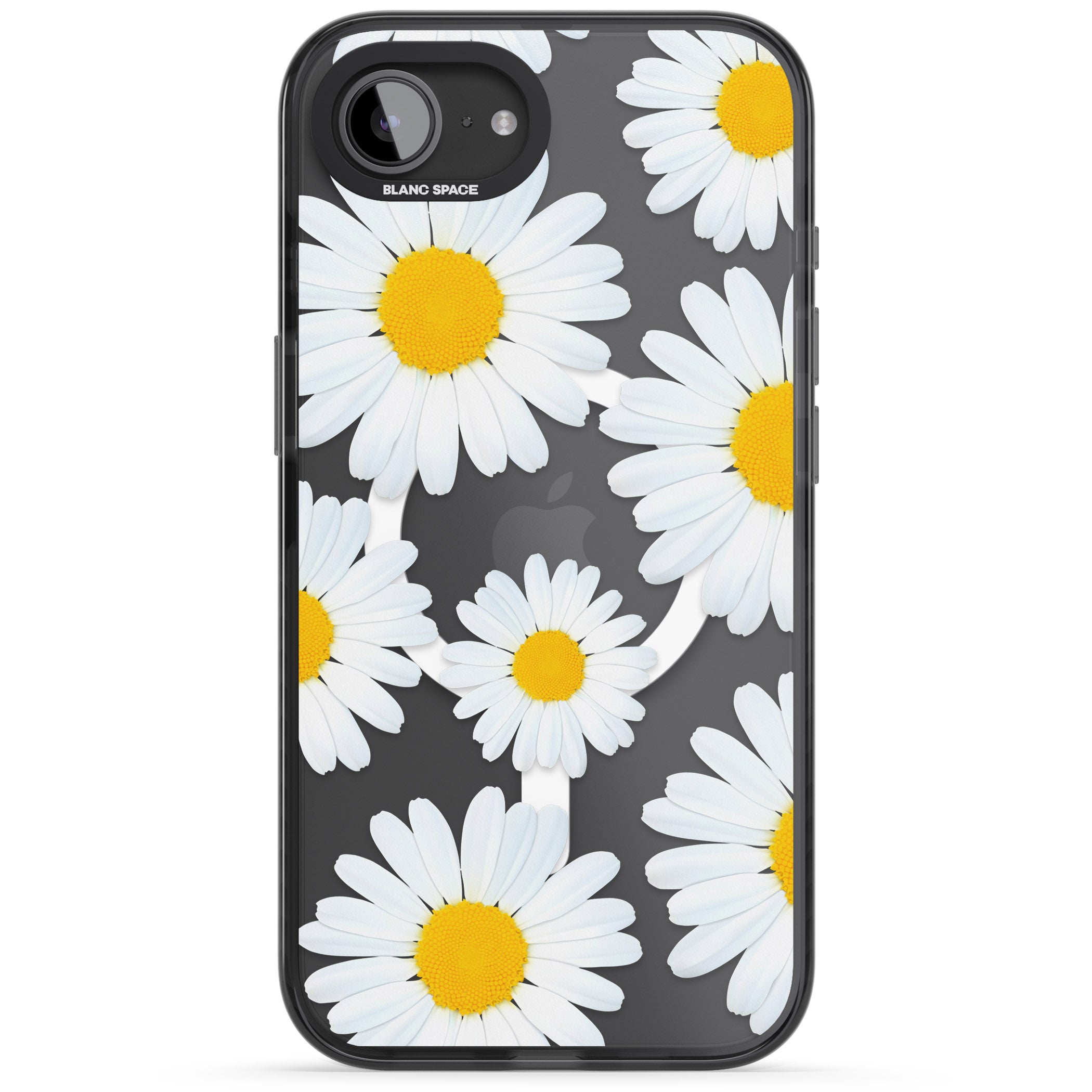 Summer Daisy