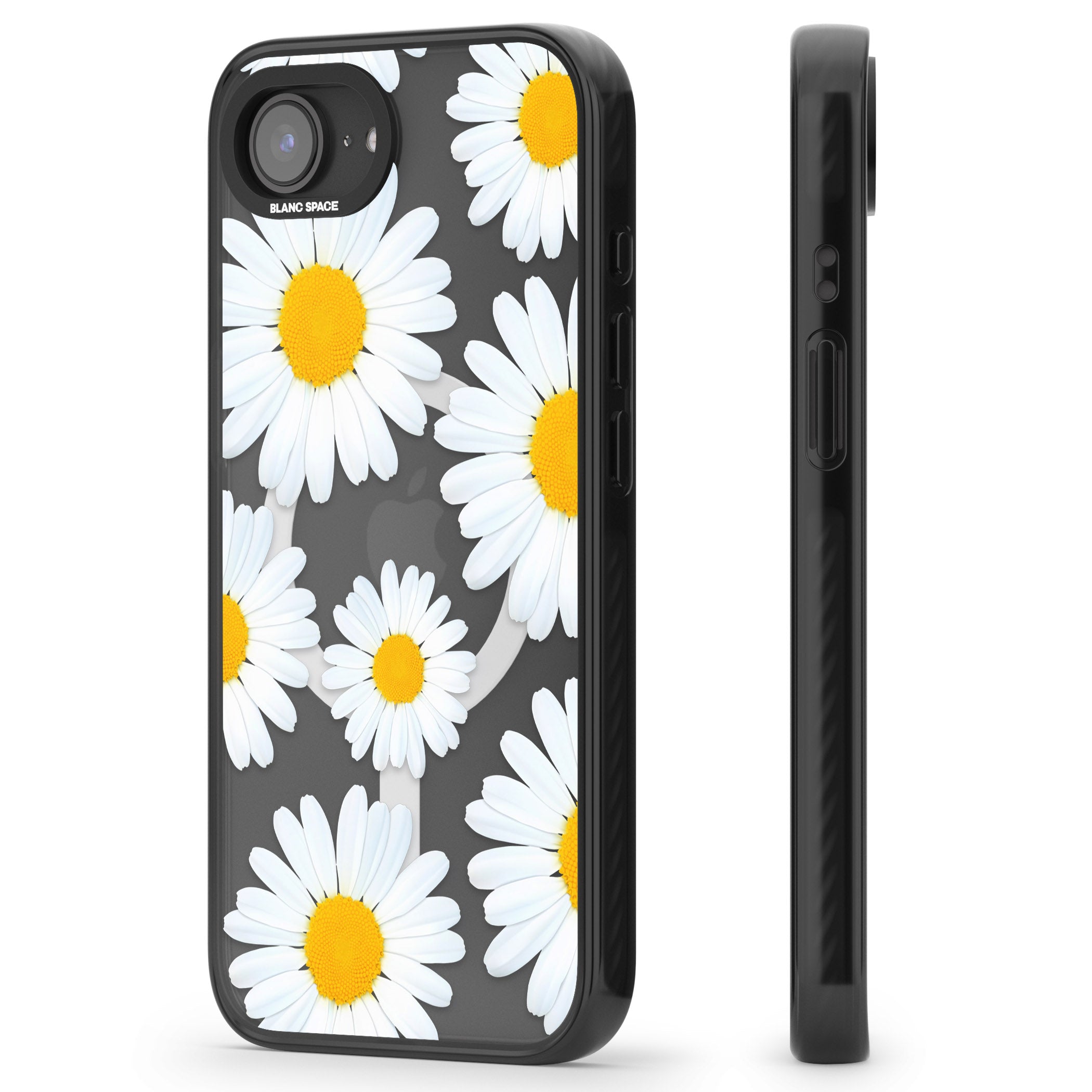 Summer Daisy