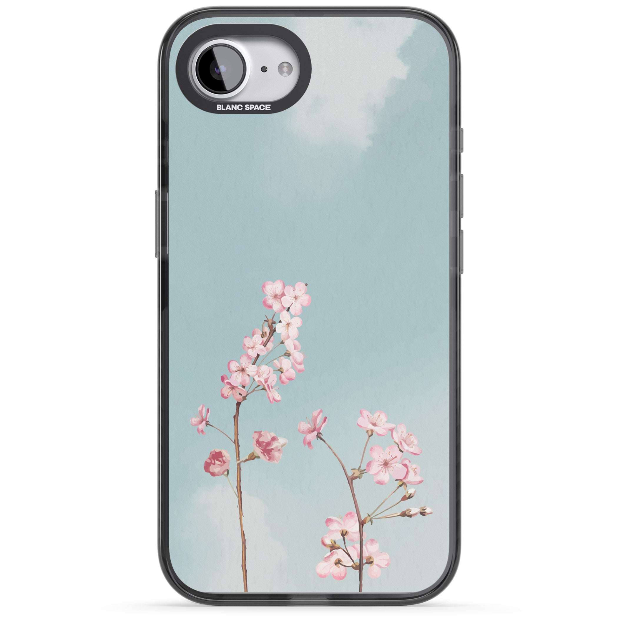 Blossom Flower Sky