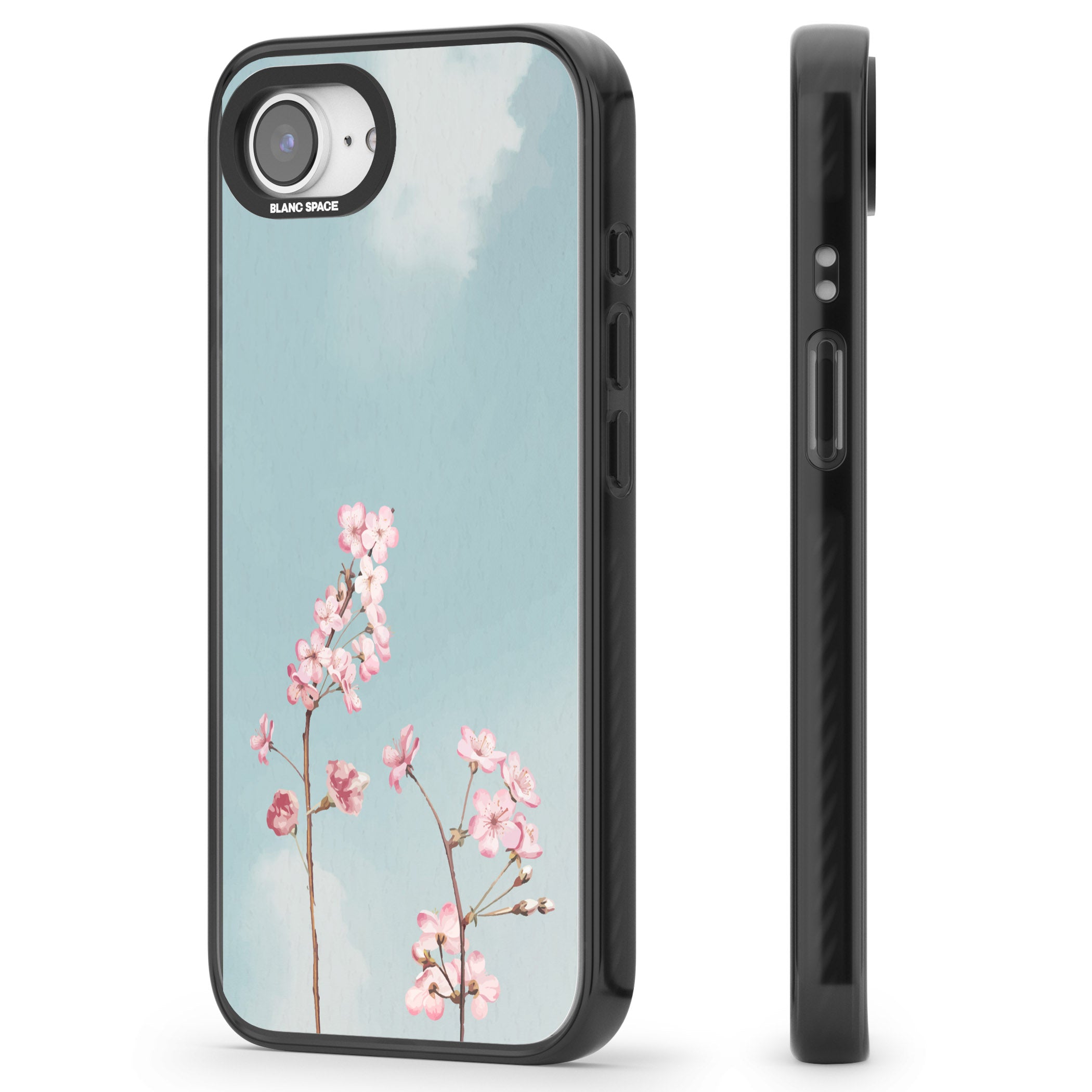 Blossom Flower Sky