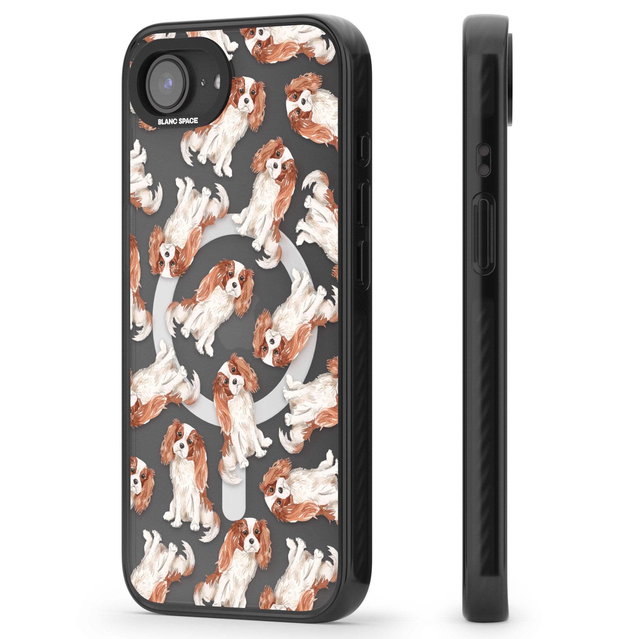 Cavalier King Charles Spaniel