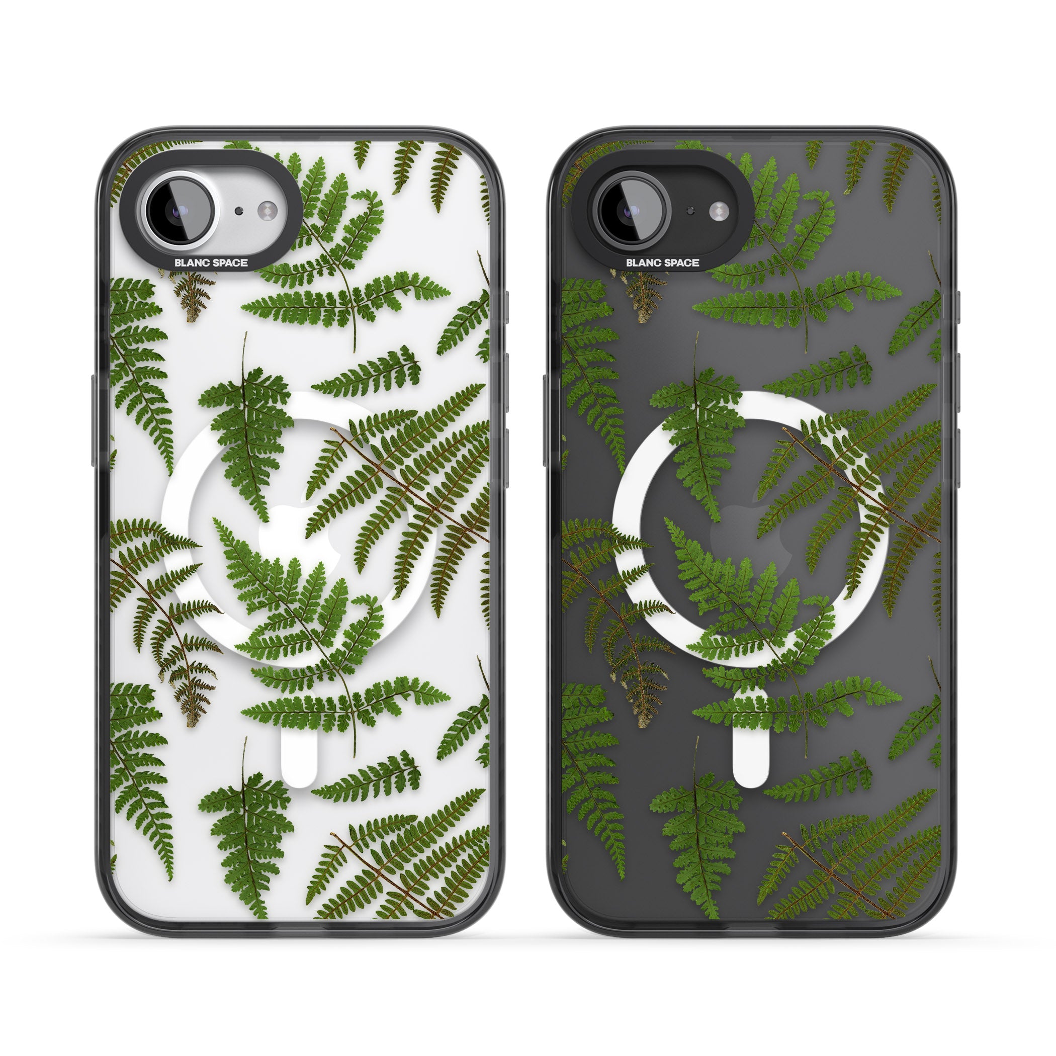 Leafy Ferns