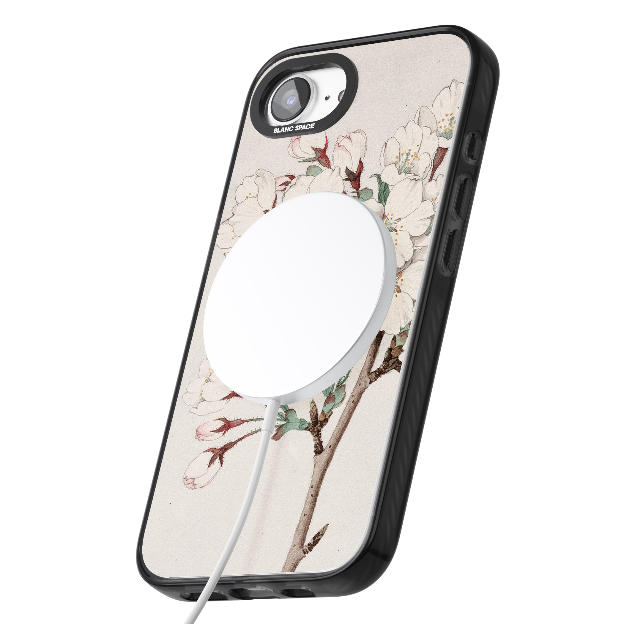 Vintage Japanese Illustrations Cherry Blossoms