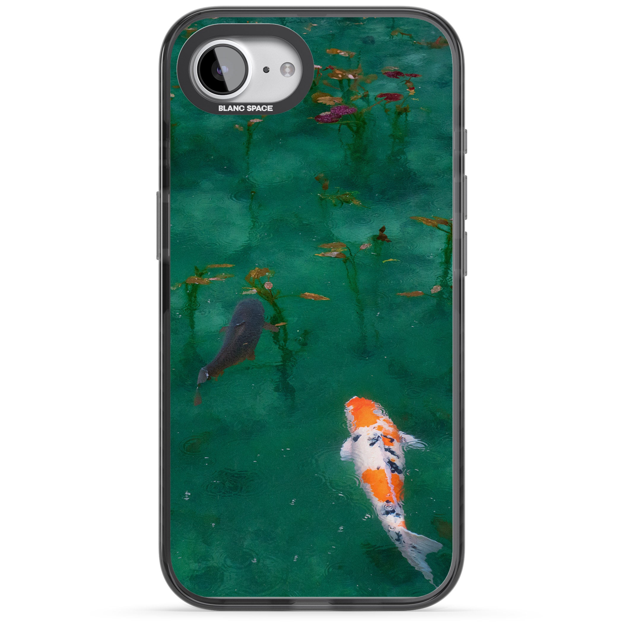 Koi Fish