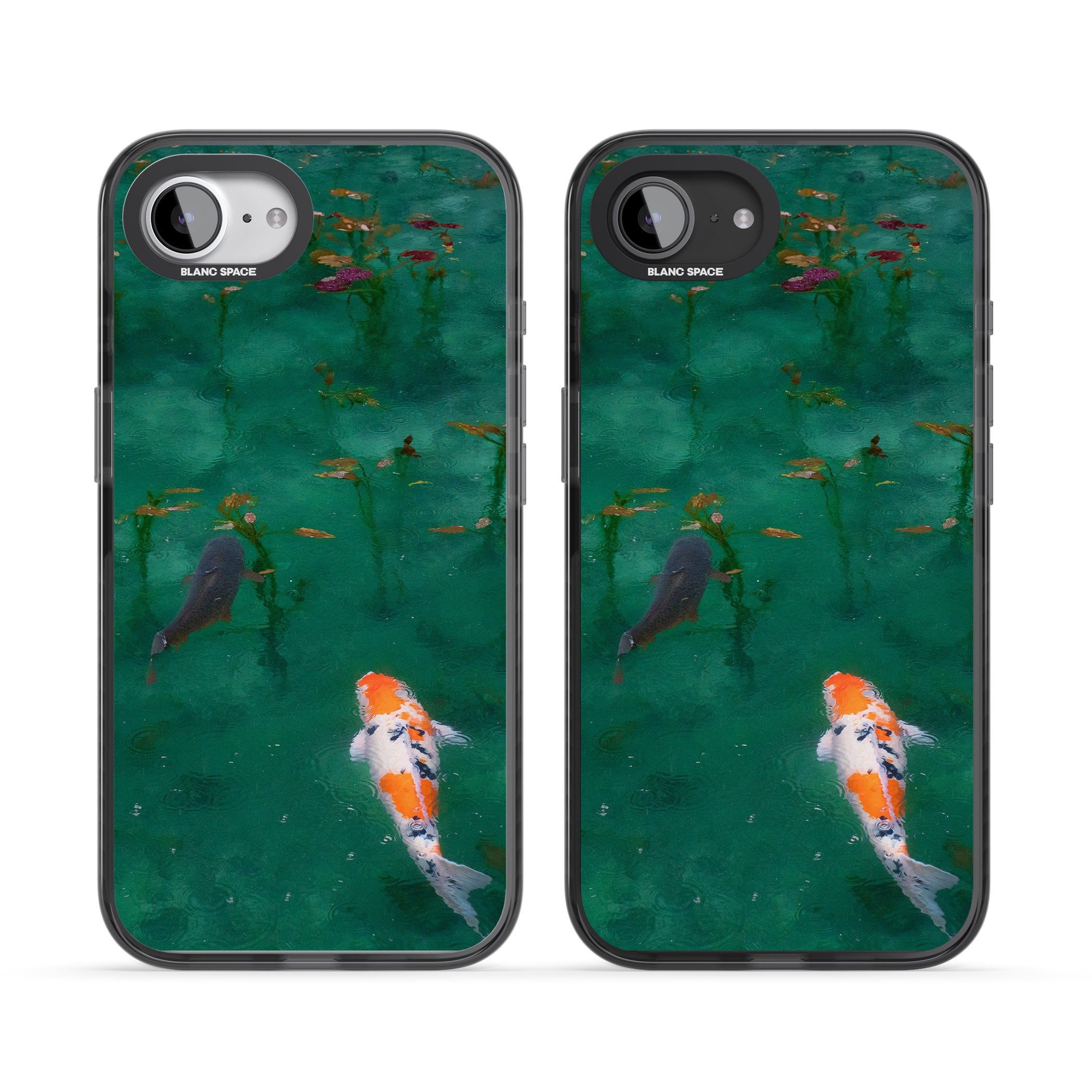 Koi Fish