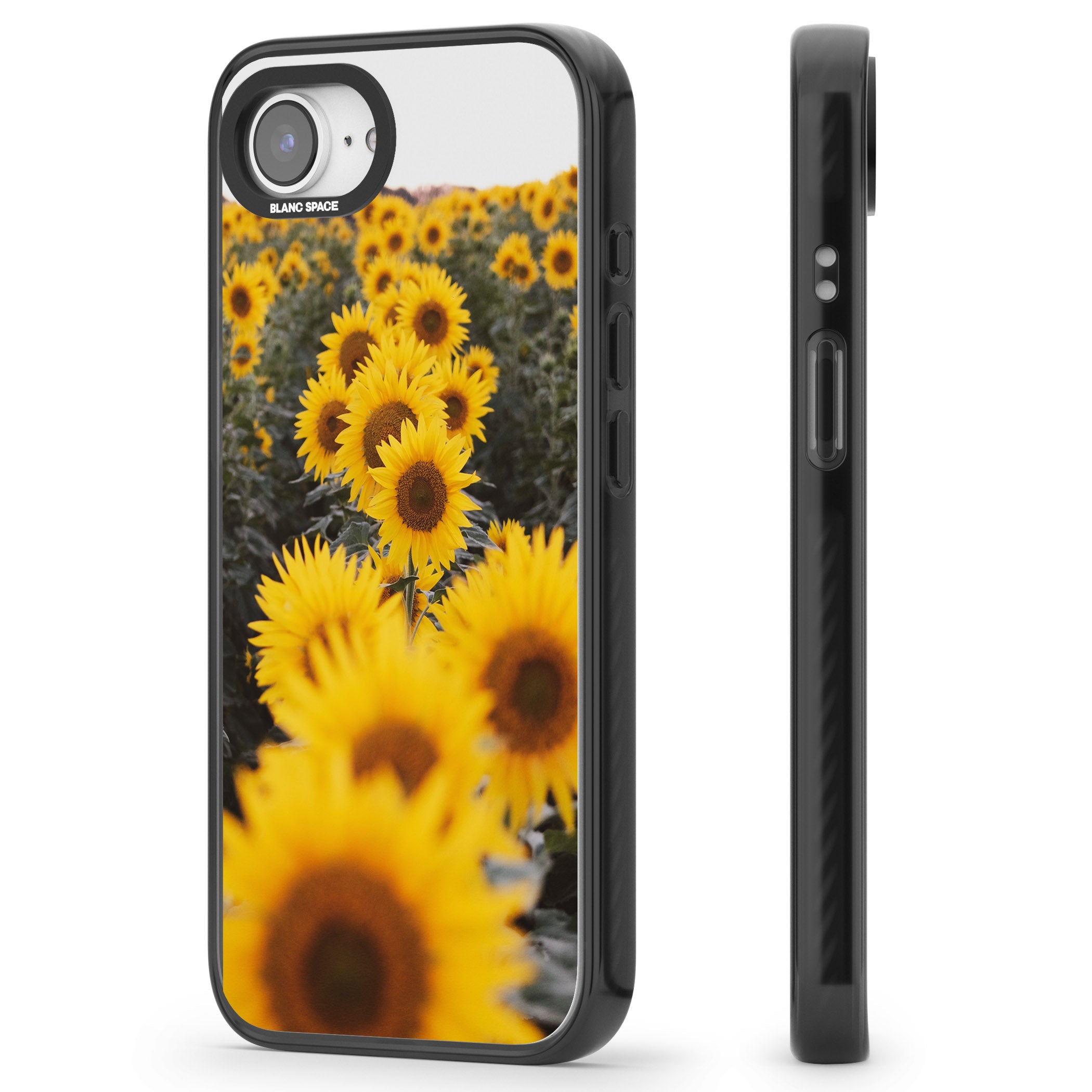 Sunflower Field