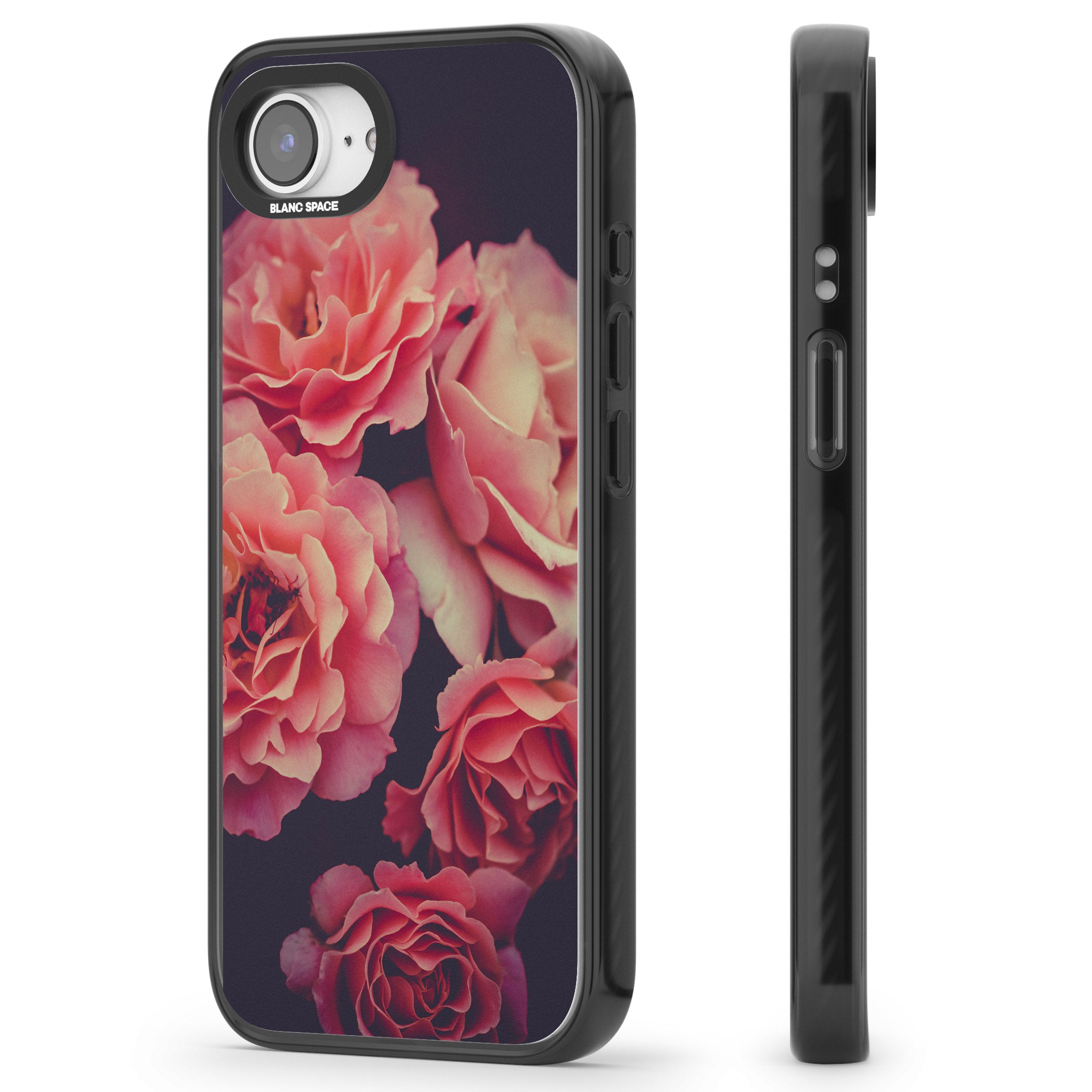 Midnight Rose Bloom