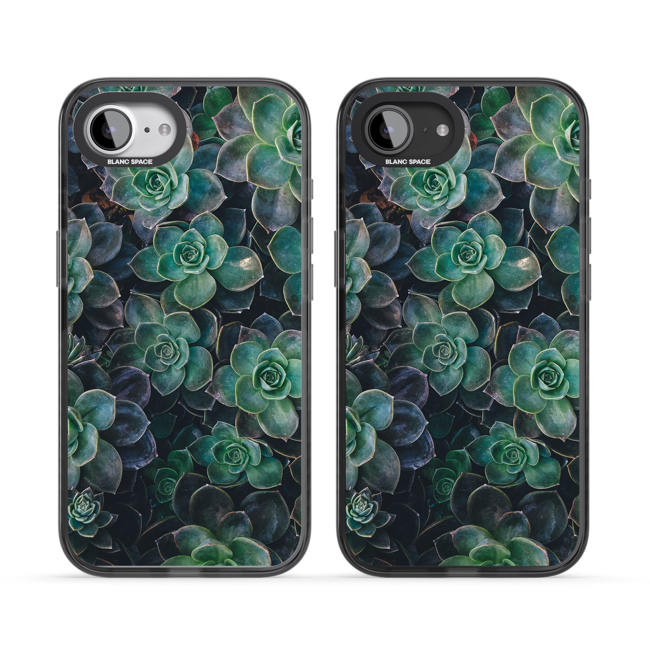 Succulent Bloom Botanical