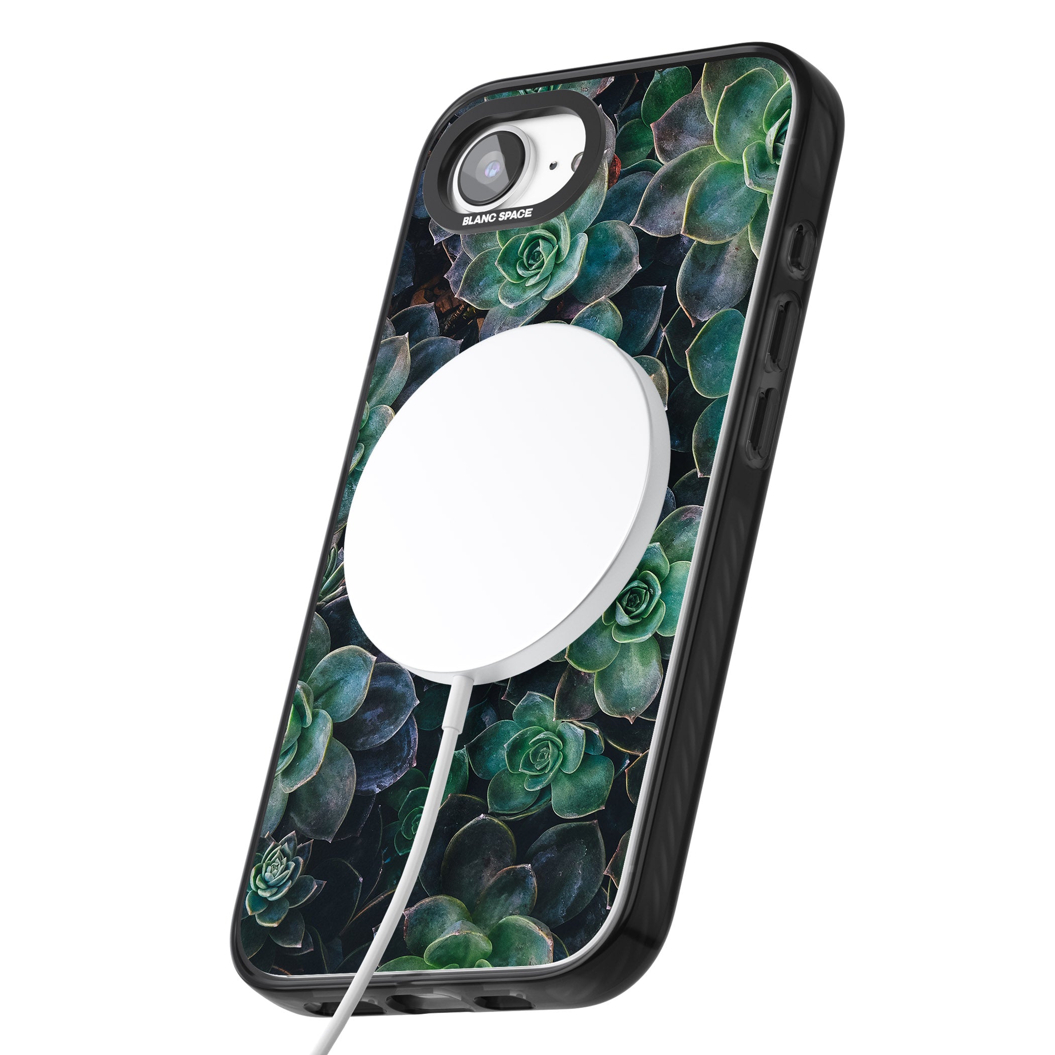 Succulent Bloom Botanical