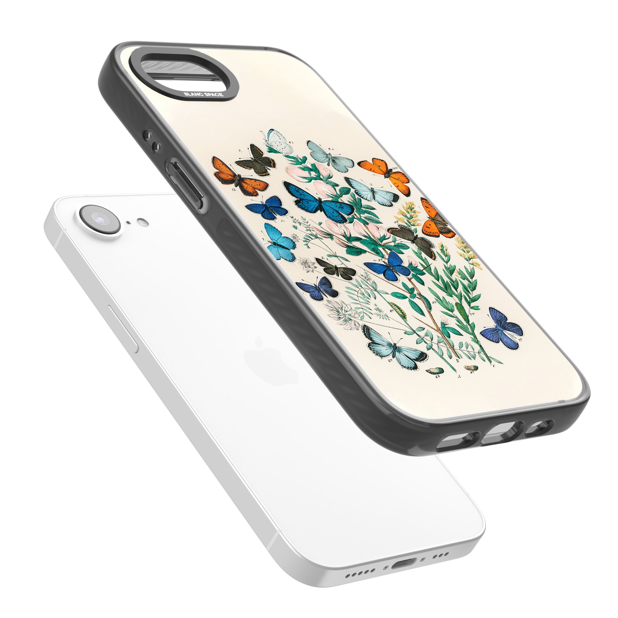 European Butterflies