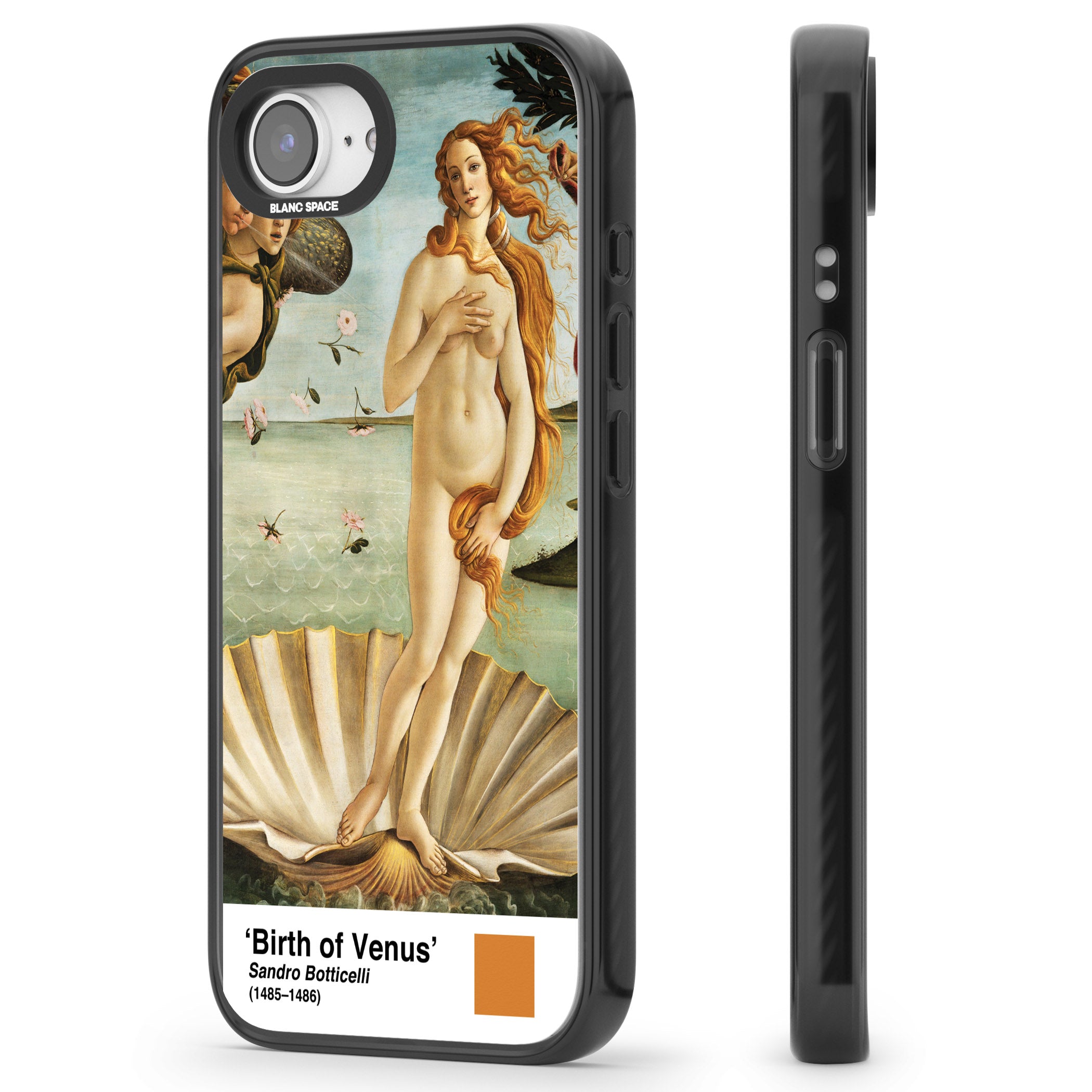 The Birth Of Venus