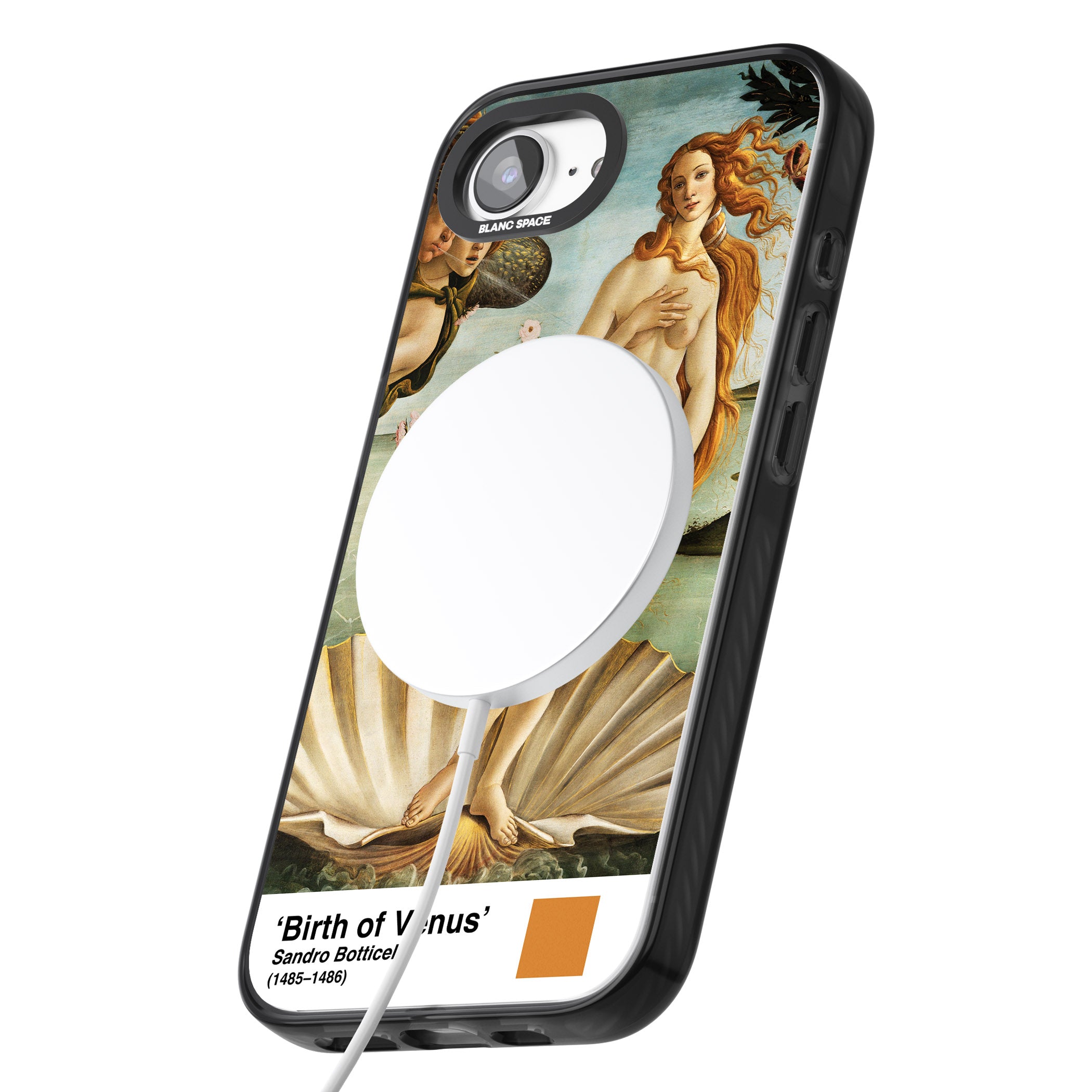 The Birth Of Venus